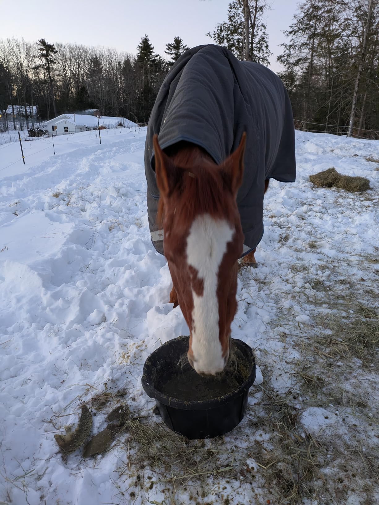 Little Giant Heavy Duty Rubber Tub, 15 Gallons customer photo 2