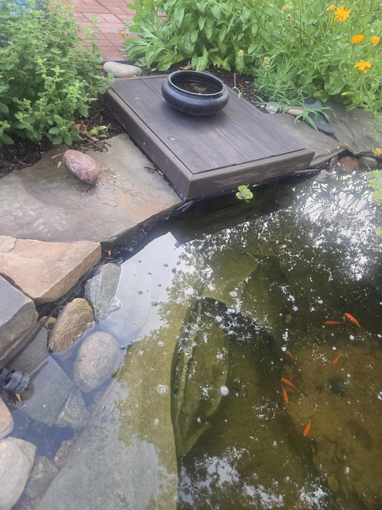 Waterscapes International PS4500 Pond Skimmer, with 9-Inch Weir Door customer photo 2