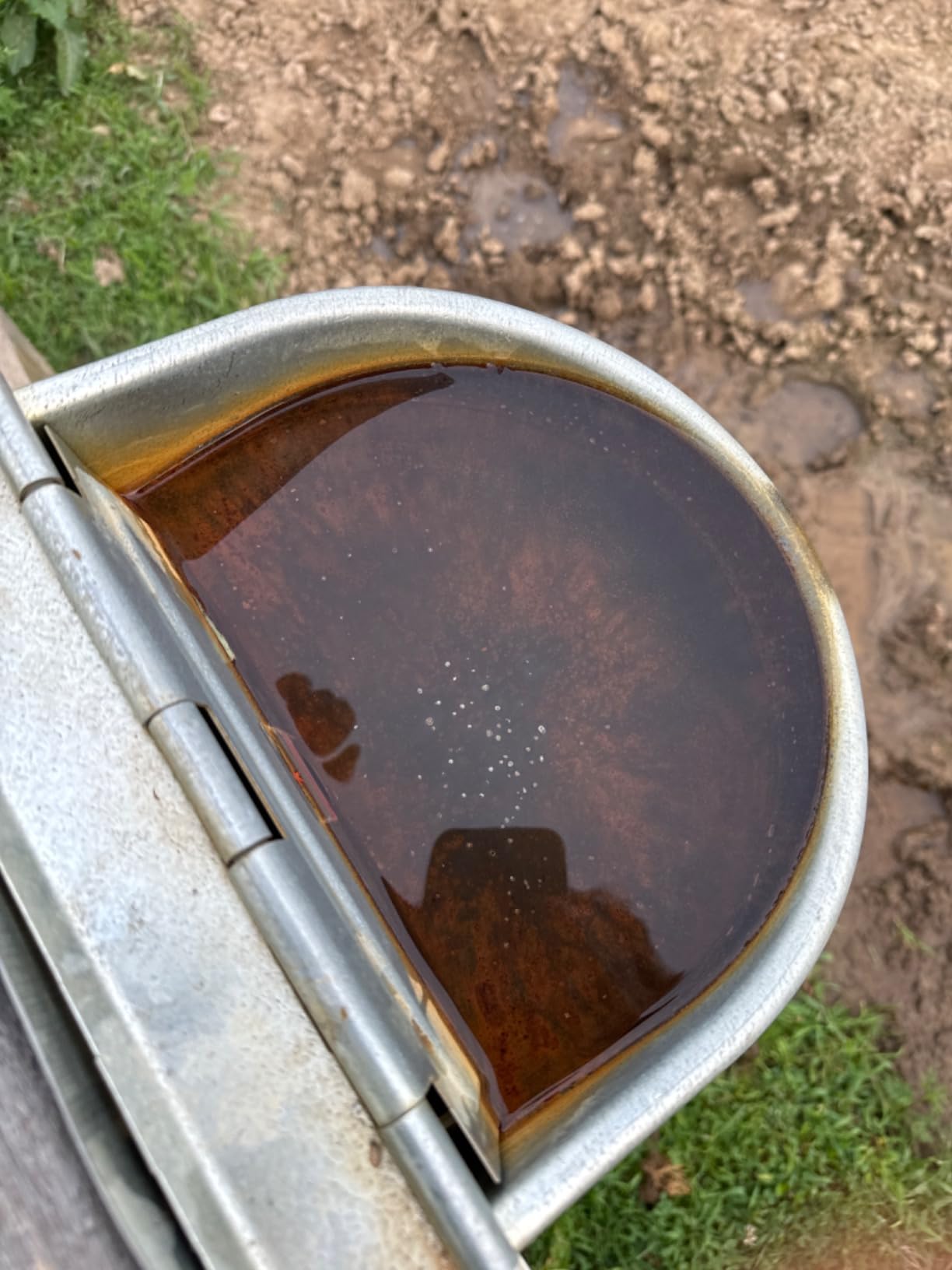 Little Giant® Automatic Livestock Waterer | Epoxy Coated Automatic Stock Waterer for Horses, Cows and Hog | Auto Horse, Pig, and Cattle Drinker customer photo 2