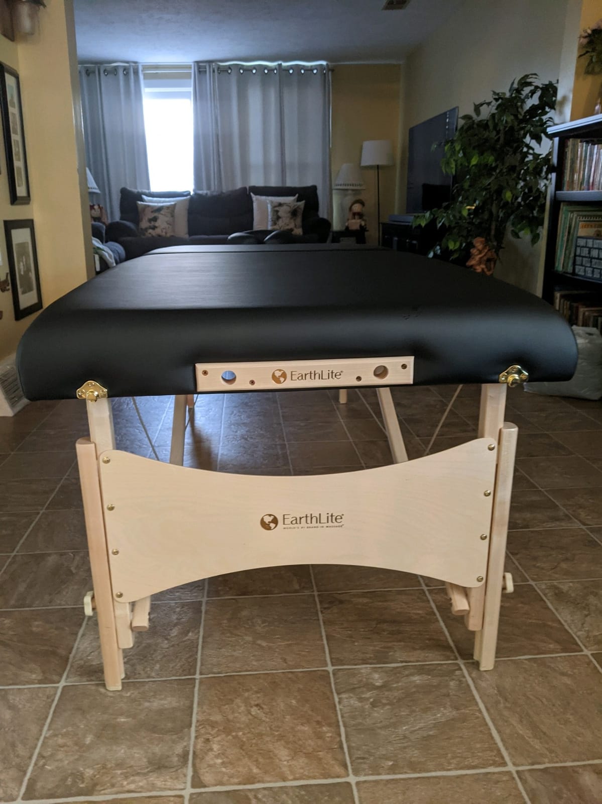 EarthLite Harmony DX Portable Massage Table Package, Includes Table + Face Cradle + Carrying Case, 30