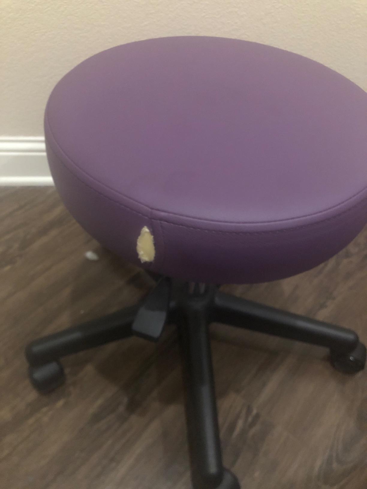 EARTHLITE Pneumatic Massage Salon Drafting Stool - No Leaking (vs. Hydraulic), Adjustable, Rolling, CFC-Free / Medical Spa Facial Chair customer photo 1