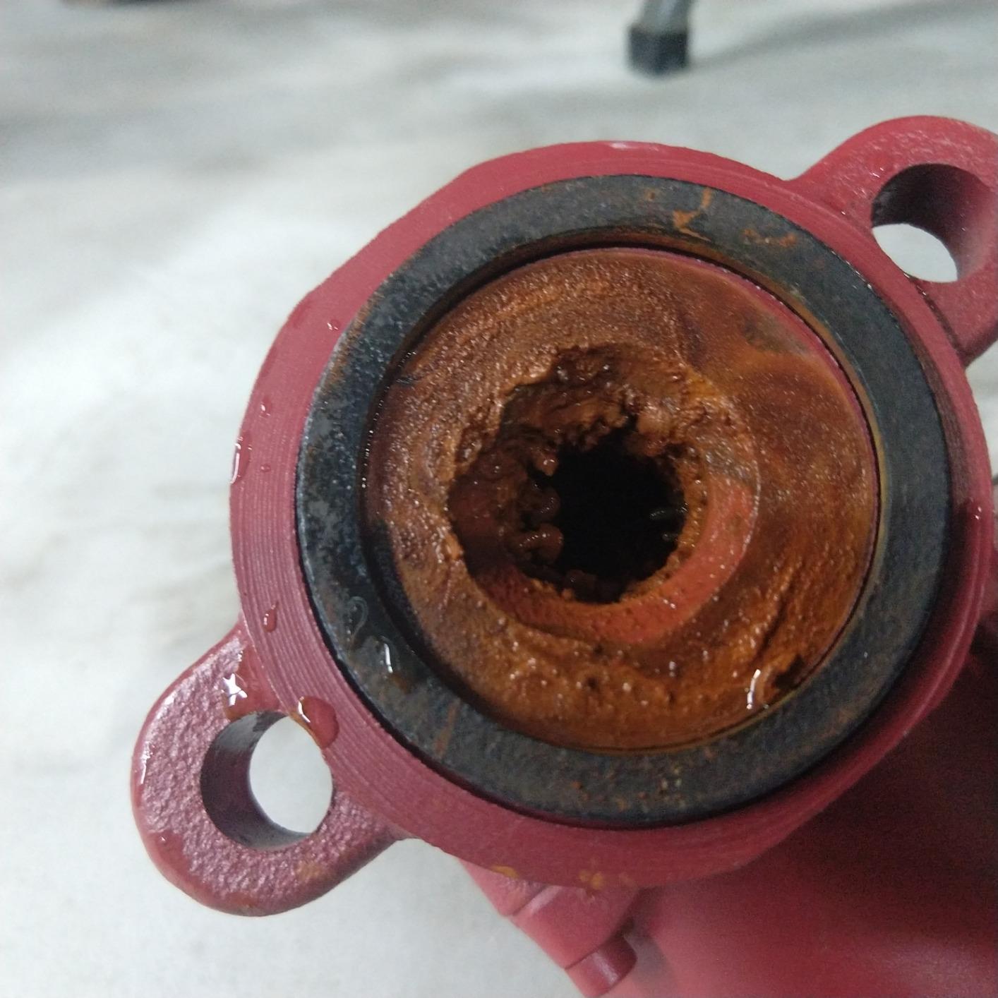 Grundfos 59896155, UP15-42F, SuperBrute Recirculating Pump 1/25 HP, 115-Volt, SMALL RED customer photo 1