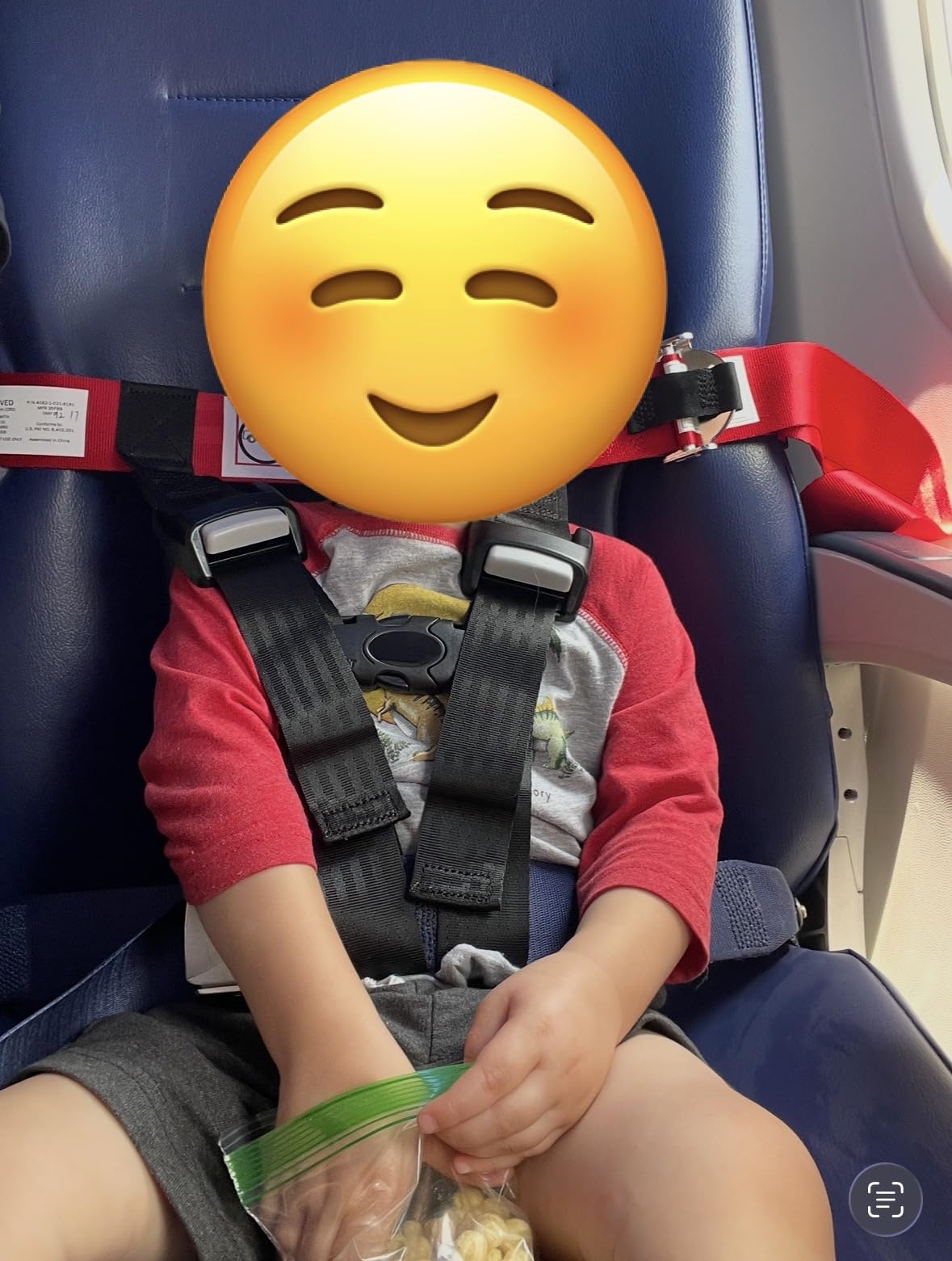 Child Airplane Travel Harness - Cares Safety Restraint System - The Only FAA Approved Child Flying Safety Device customer photo 1