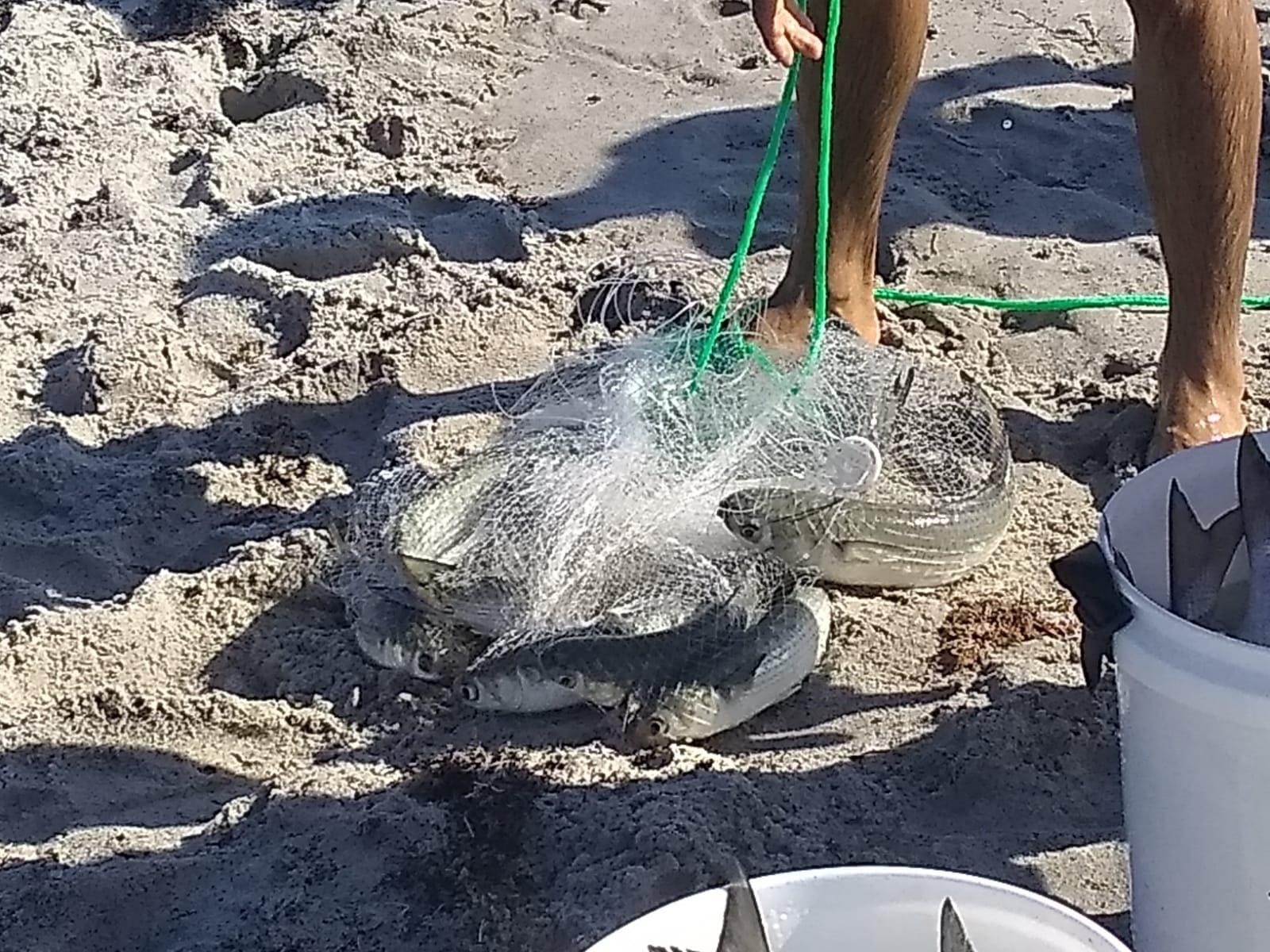 Betts Old Salt Premium Cast Net for Bait Fish with Utility Box customer photo 2