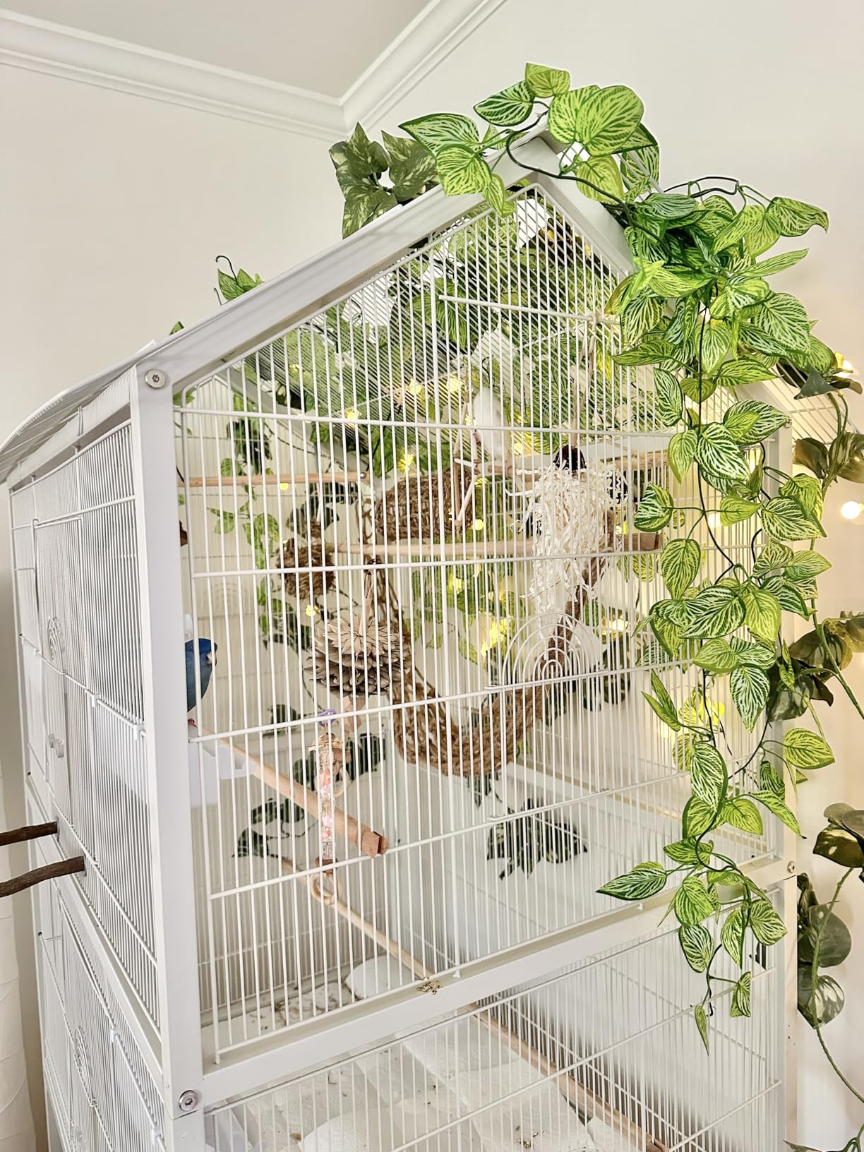 Prevue Pet Products Steel Bird Flight Cage with Wheels, Large Black Metal Standing Birdcage customer photo 1