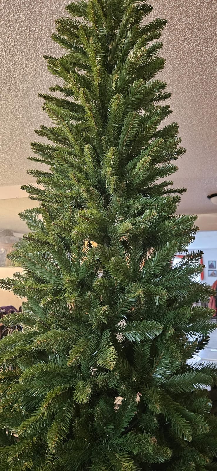 National Tree Company 7 ft Unlit Kingswood Fir Slim Artificial Christmas Tree, 892 Tips, Includes Stand, Green customer photo 2