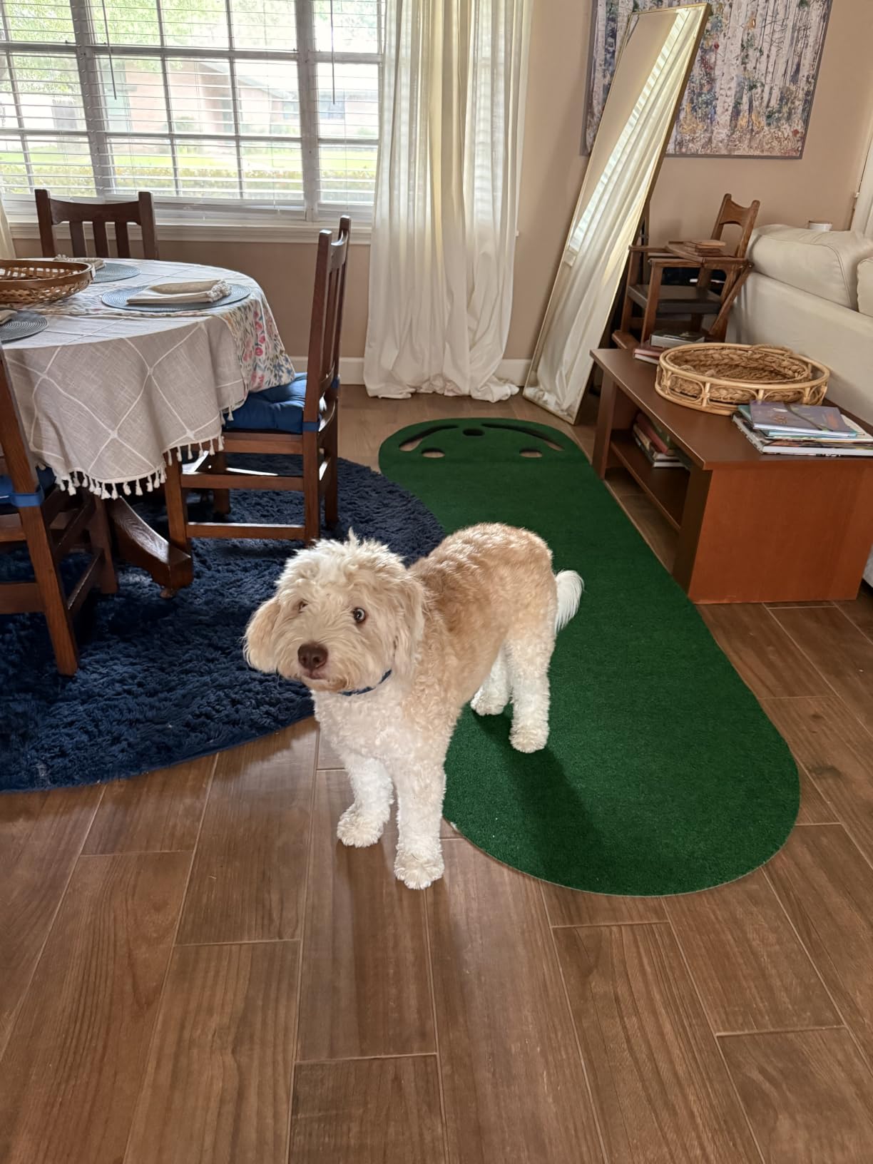 PUTT-A-Bout Par Three Golf Putting Green (3' x 9') customer photo 2