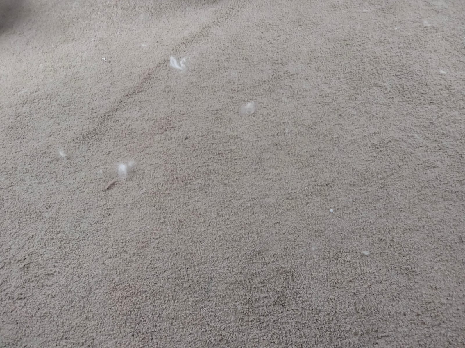 Bissell Natural Sweep Carpet and Floor Sweeper with Dual Brush Rotating System and 2 Corner Edge Brushes, 92N0A, 4.2 lb. customer photo 2