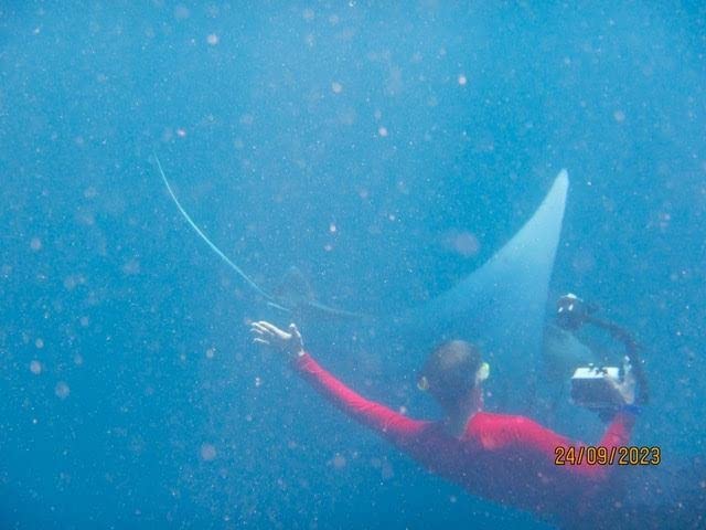 RIFFE Stable Scuba Diving and Snorkeling Dry Snorkel - Low Profile & Lightweight with Flexible Folding Vinyl Tube - Shark Fin-Shape Tip Hinged Keeper & Purge Valve customer photo 1