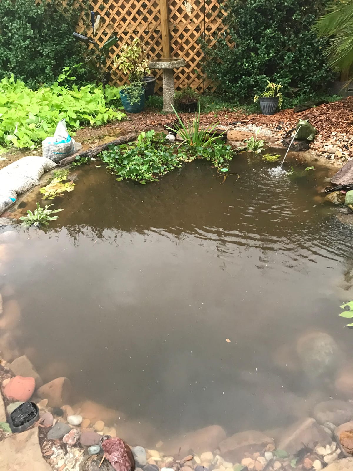 Tetra Pond Debris-Handling Pump, Energy Efficient, UL Listed customer photo 1