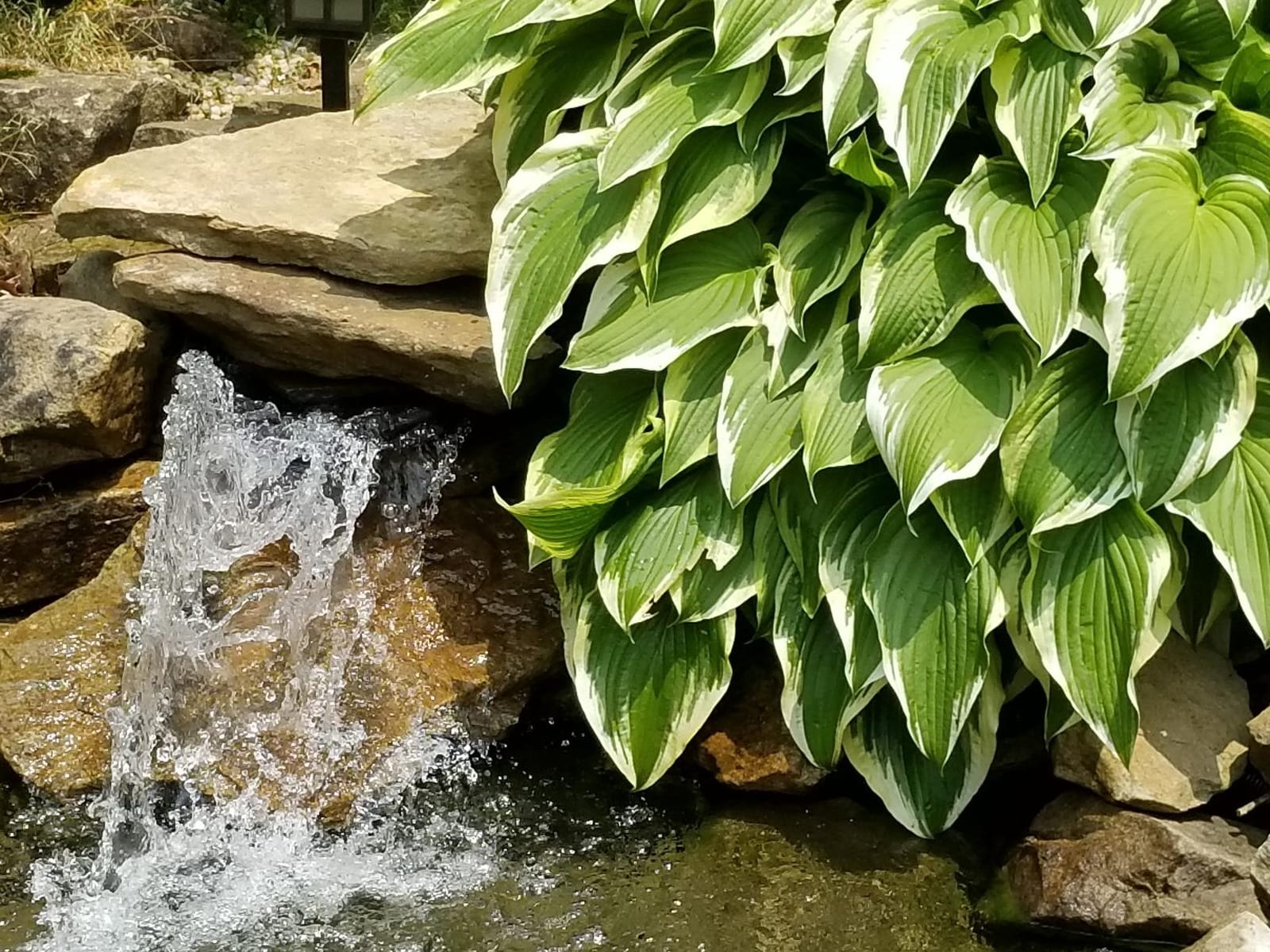 Tetra Pond Debris-Handling Pump, Energy Efficient, UL Listed customer photo 2