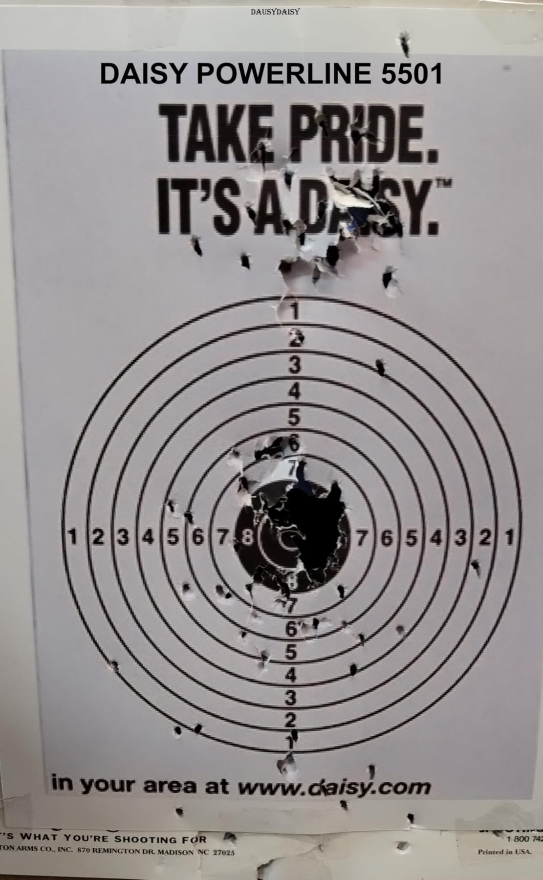 Daisy Powerline 5501 CO2 Air Pistol - 15-Shot - 430 FPS customer photo 1
