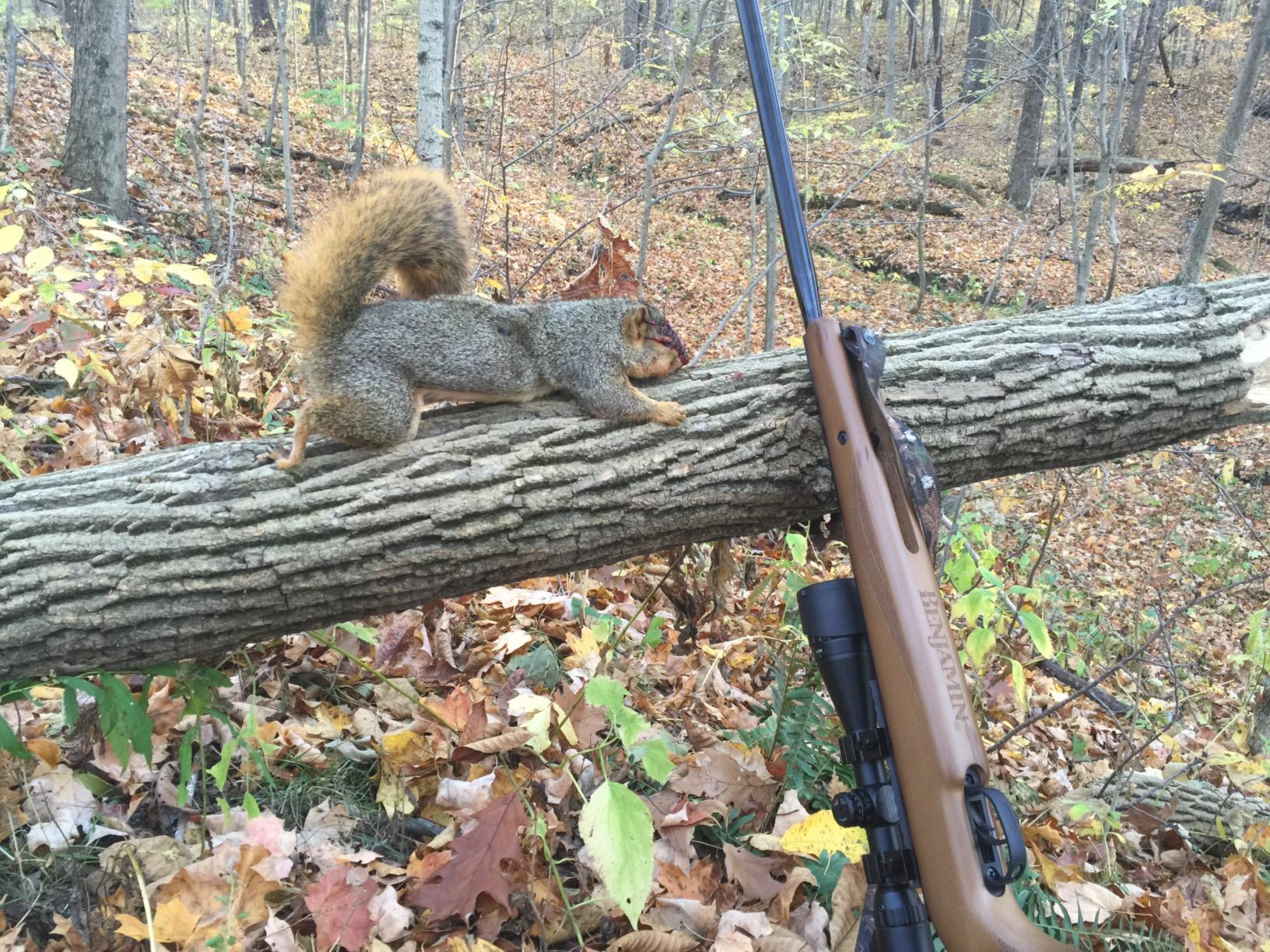 Benjamin Airguns Trail XL Magnum .22-Caliber NP Break Barrel Hunting Air Rifle And Scope, Wood customer photo 2