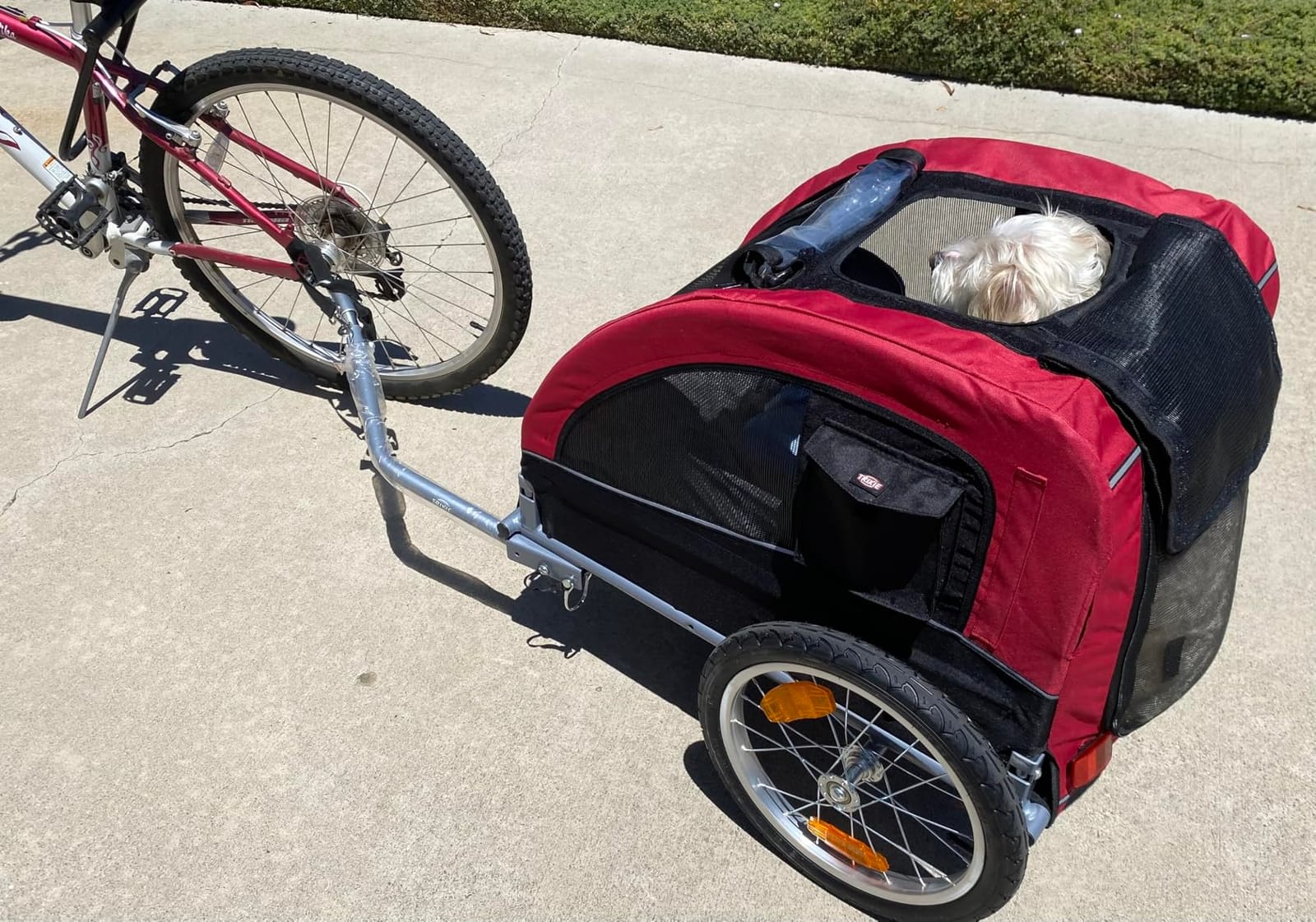 TRIXIE Dog Trailer for Bicycles, Dog Bike Trailer for Small Dogs up to 33 lbs, Quick Set-up and Fold Down, Red customer photo 2