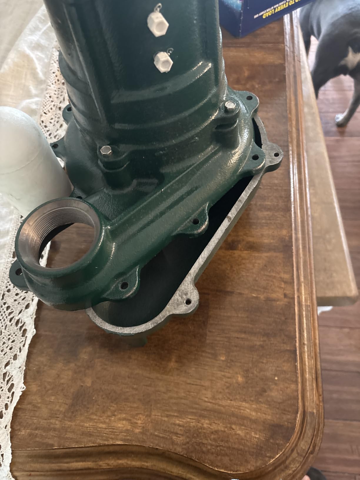 Zoeller Waste-Mate 267-0001 Sewage Pump, 1/2 HP Automatic | Heavy-Duty Submersible Sewage, Effluent or Dewatering Pump customer photo 2