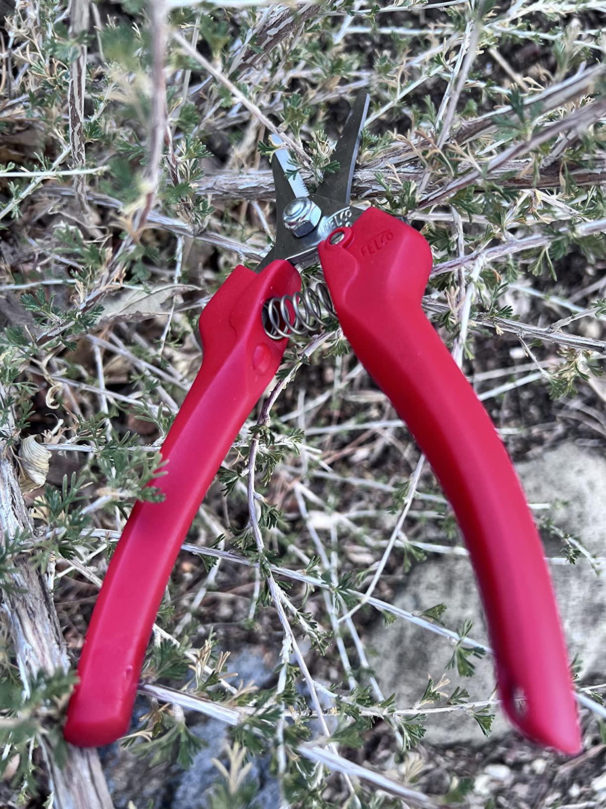 FELCO Pruning Shears - 8