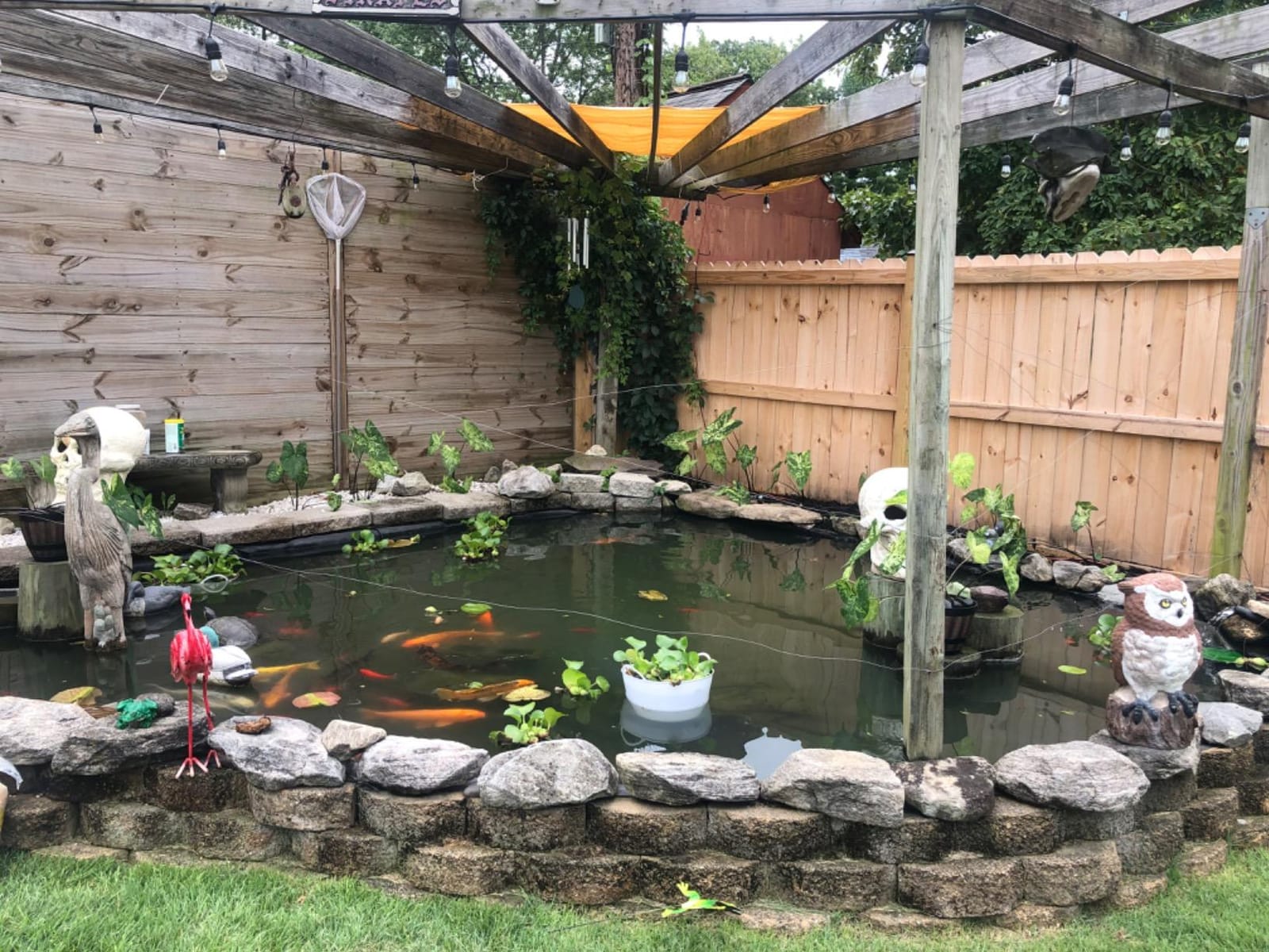 Tetra Pond UVC-18 GreenFree UV Clarifiers, Up To 4400 Gallons, 18-Watt customer photo 1
