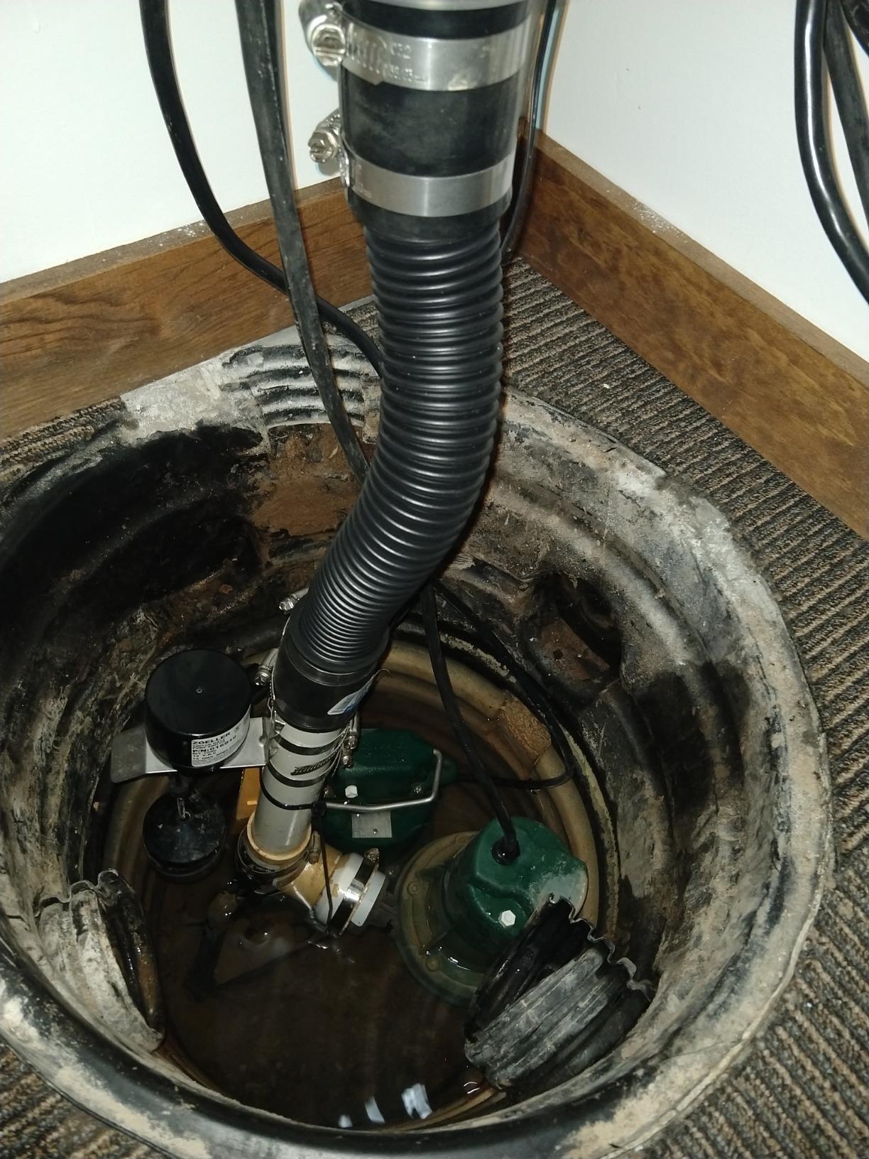 Zoeller 53-0002 N53 Mighty-Mate Non-Automatic Submersible Pump, 115V customer photo 1
