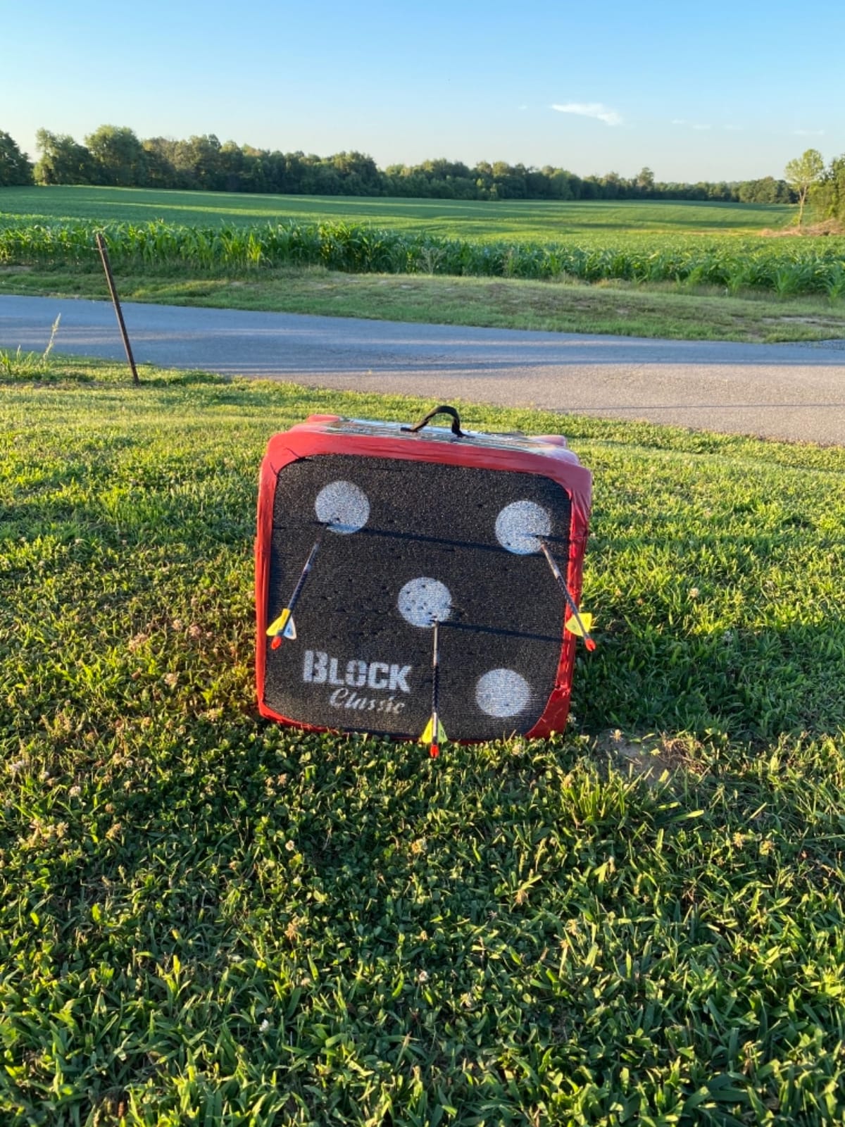 BLOCK Classic Layered Foam Archery Target, 18 x 18 x 13.5 inches, 2-Sided Shooting, Unique Open Layer Design Stops Field Points and Broadheads with Friction Not Force, Easy Arrow Removal, Top Carry Handle customer photo 2