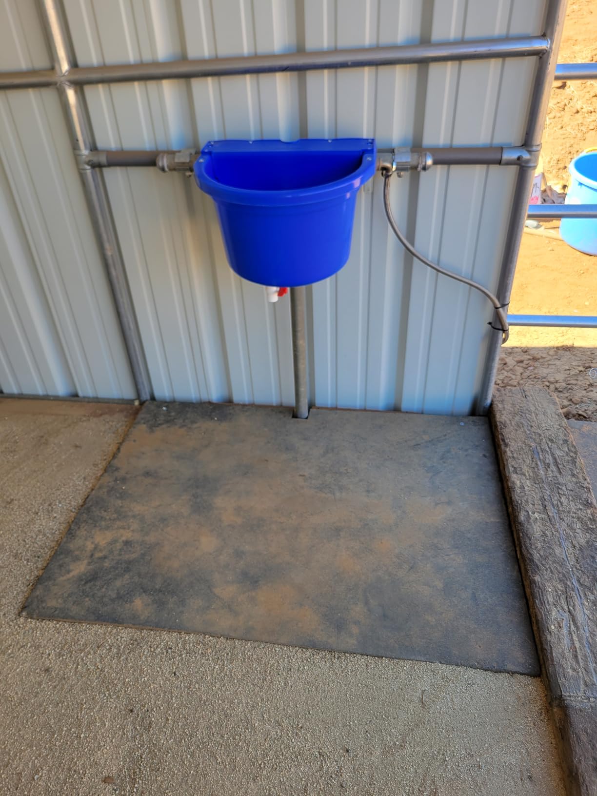 Little Giant® Automatic Animal Waterer | DuraMate Float Controlled Automatic Waterer for Livestock | Heavy Duty and Durable | Made in USA | 4 Gallon (Black, 4 Gallon) | Float-Controlled Auto-Refill, Attached 30 Inch Hose Connects to Outdoor Tap, Over-Fence Mount Brackets, for Horses & Cattle customer photo 1