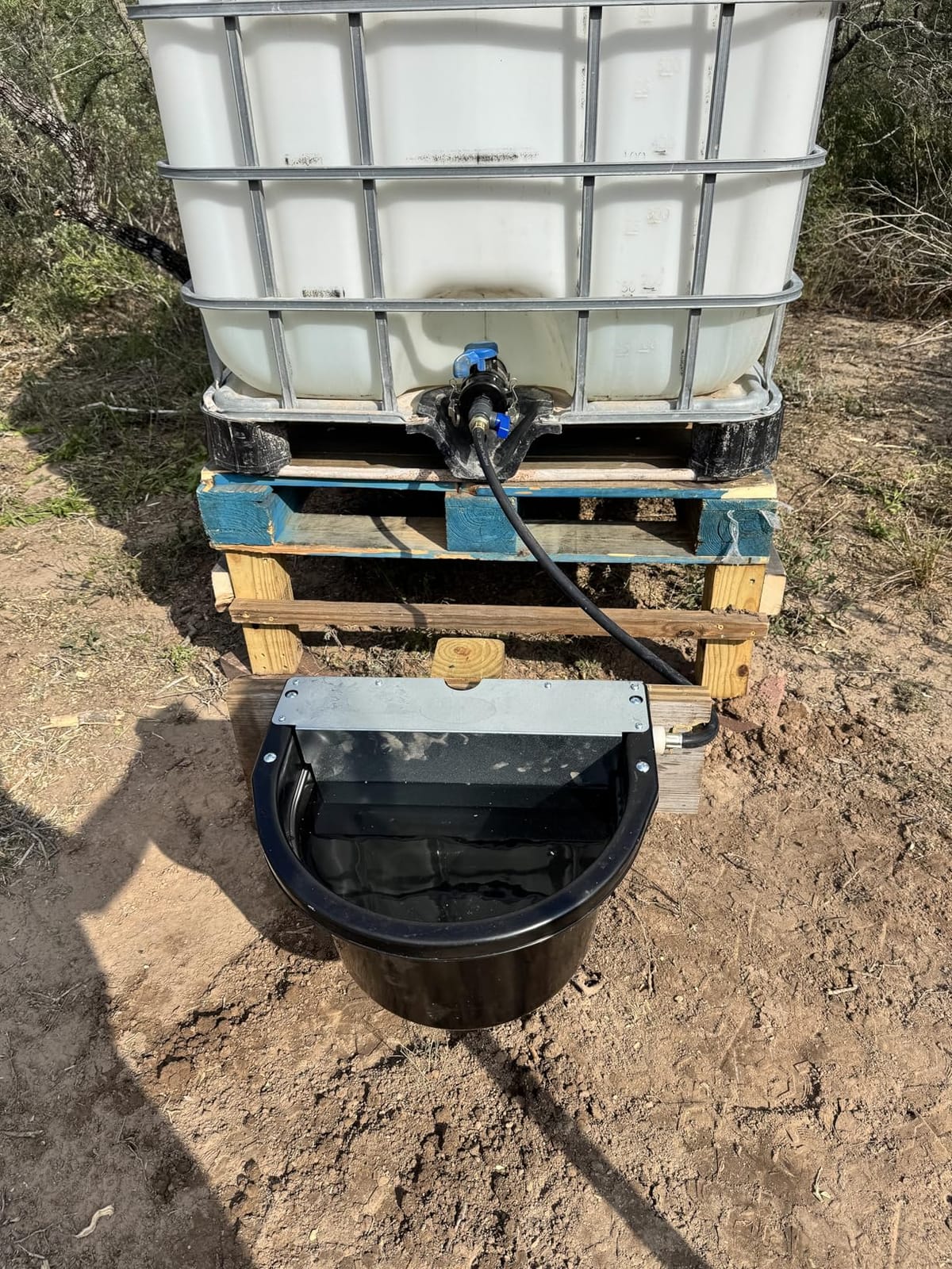 Little Giant® Automatic Animal Waterer | DuraMate Float Controlled Automatic Waterer for Livestock | Heavy Duty and Durable | Made in USA | 4 Gallon (Black, 4 Gallon) | Float-Controlled Auto-Refill, Attached 30 Inch Hose Connects to Outdoor Tap, Over-Fence Mount Brackets, for Horses & Cattle customer photo 2