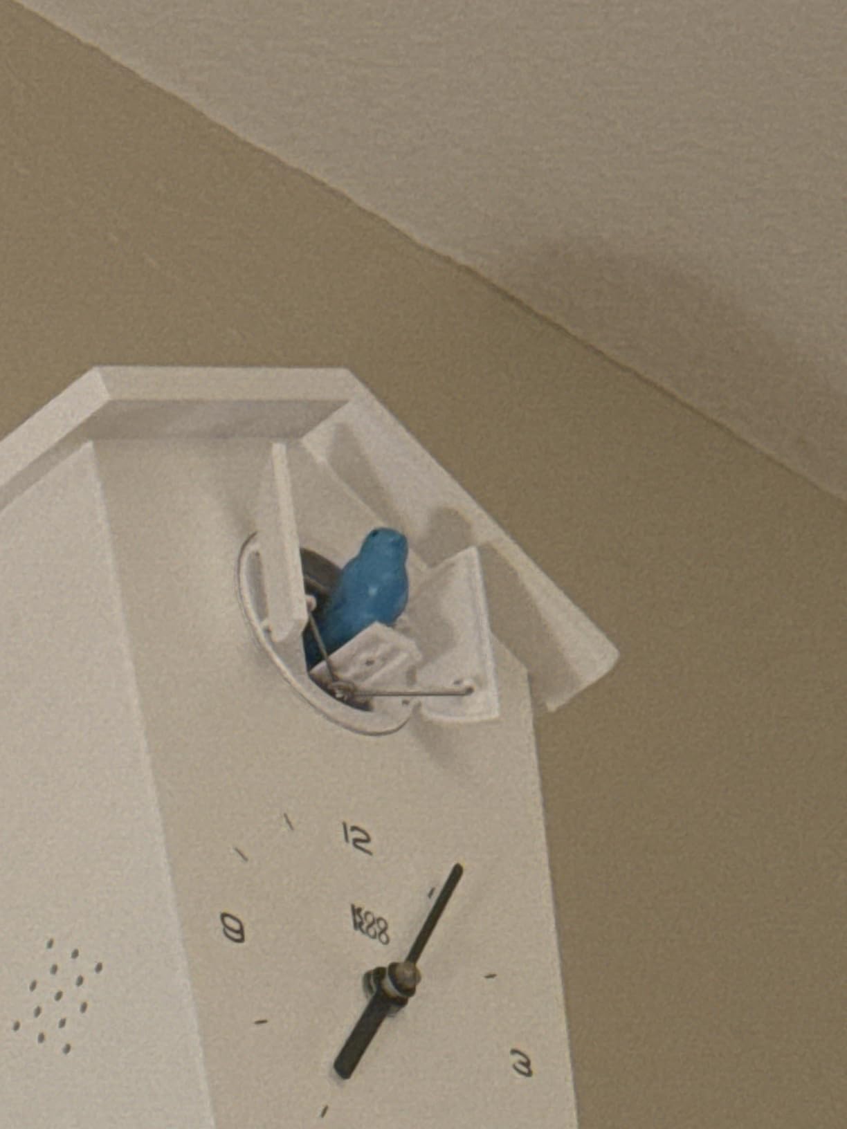 KOOKOO Birdhouse White, modern design cuckoo clock with 12 natural bird voices or cuckoo call customer photo 1