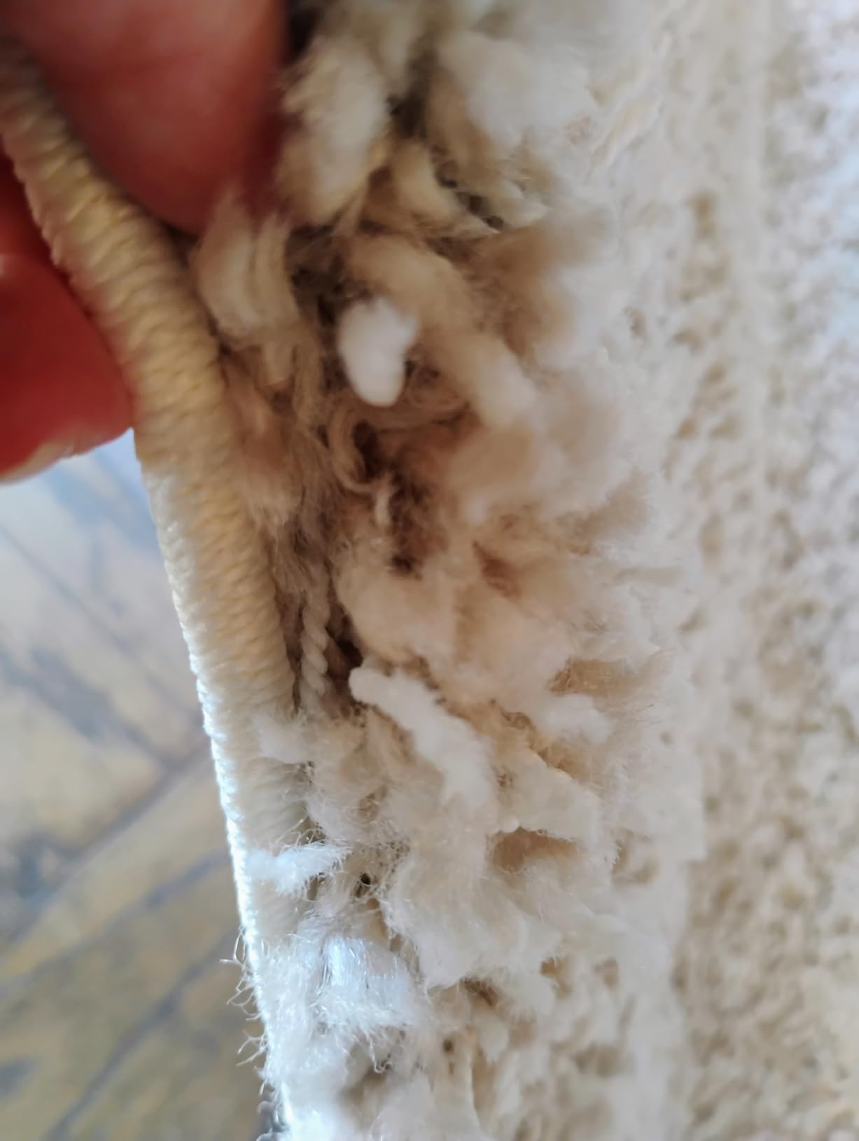 SAFAVIEH Area Rug 8x10 - California Shag Collection - Large - Beige, Non-Shedding & Easy to Clean, Ultra Plush Thick Pile, Ideal for Living Room, Bedroom, Dining Space (SG151-1313) customer photo 1