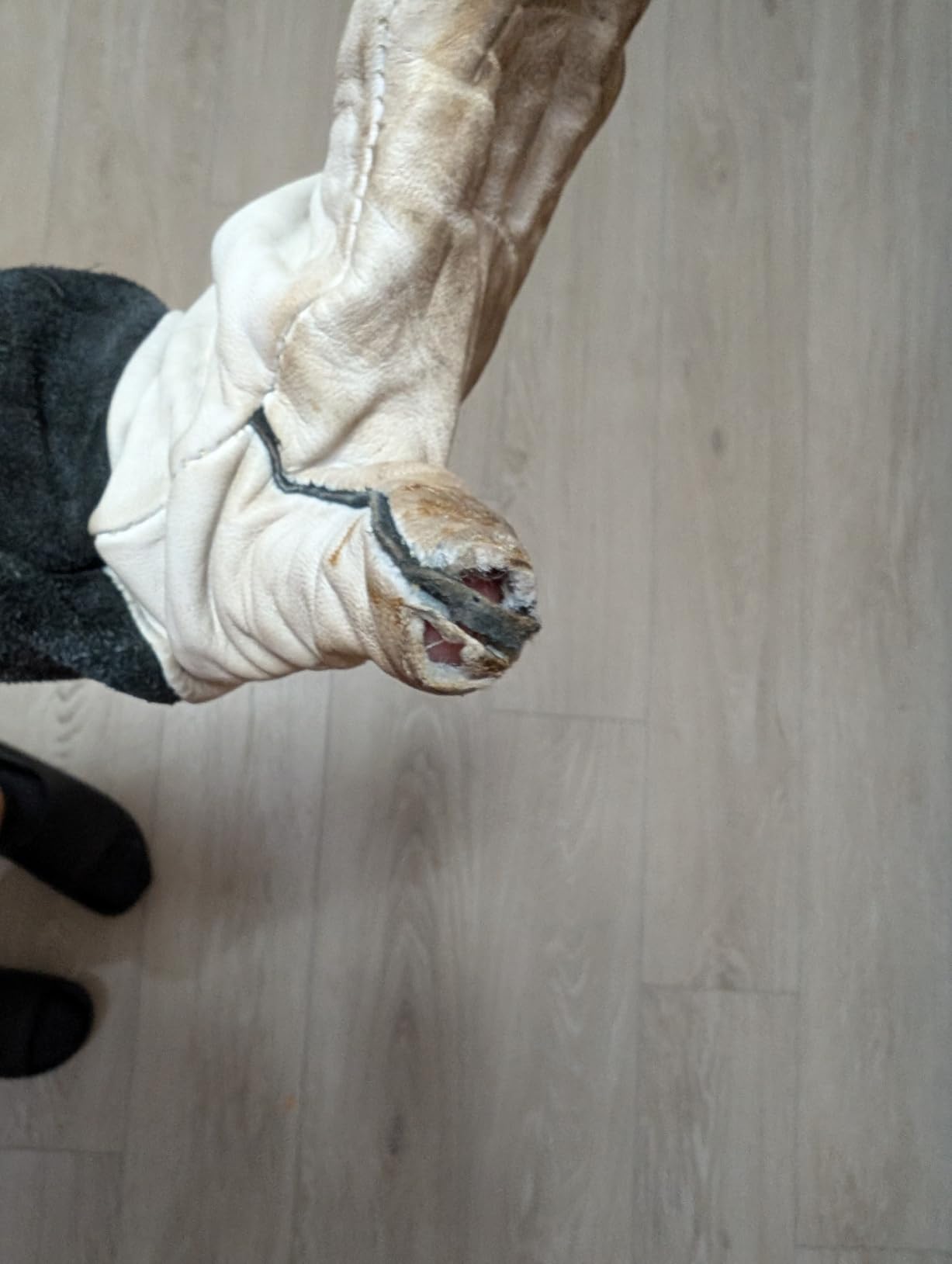 Lincoln Electric Grain Leather TIG Welding Gloves | Comfortable | Lightweight | K2981 - (M-XL) customer photo 1