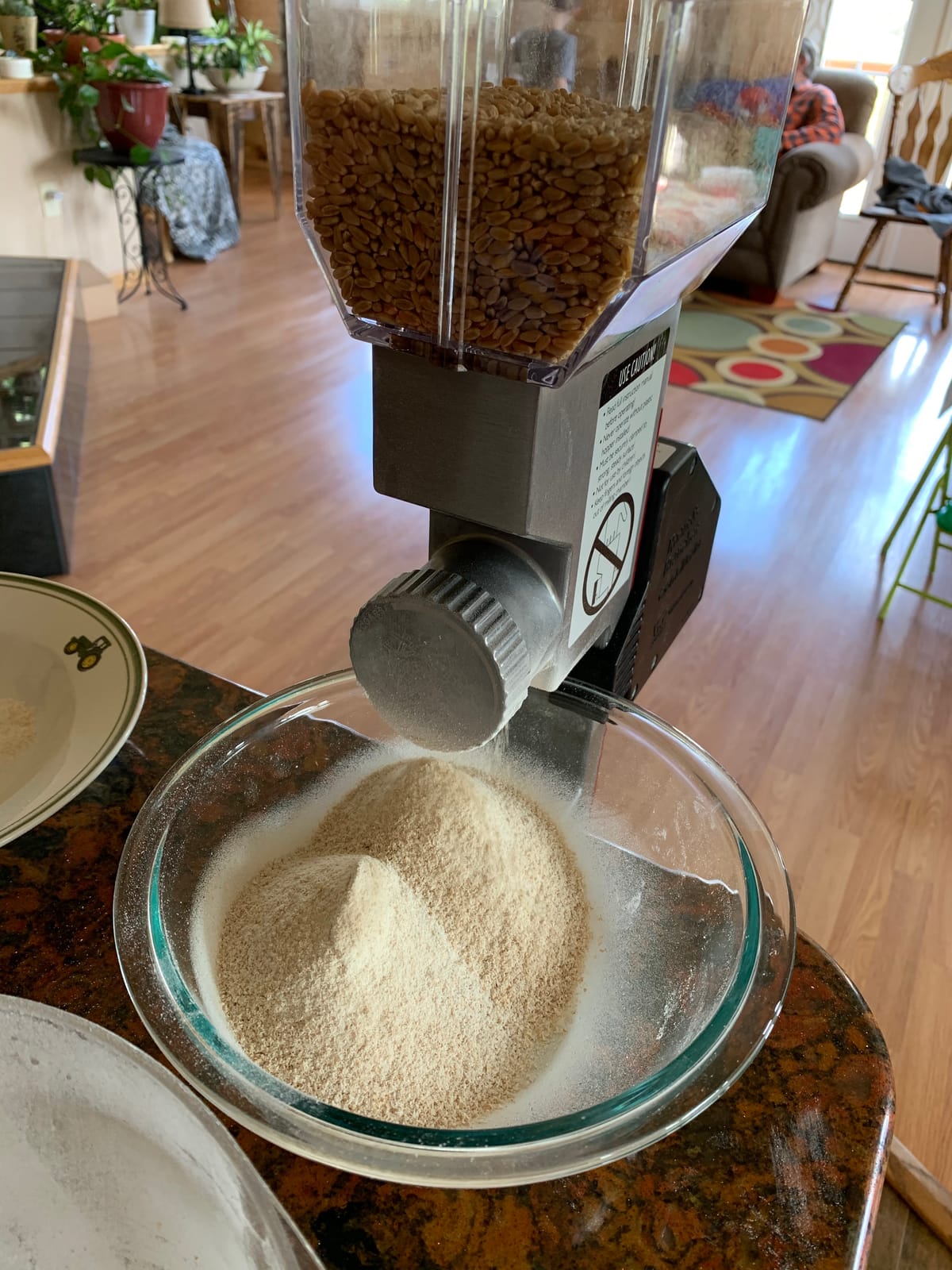 Kitchen Crop Grain Mill Wheat Flour Grinder, Stainless Steel Metal Burrs (Deluxe Grain Mill) customer photo 1