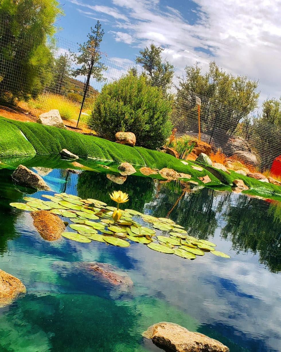 HIBLOW HP-80 Pond Aerator/ Septic Linear Air Pump customer photo 1