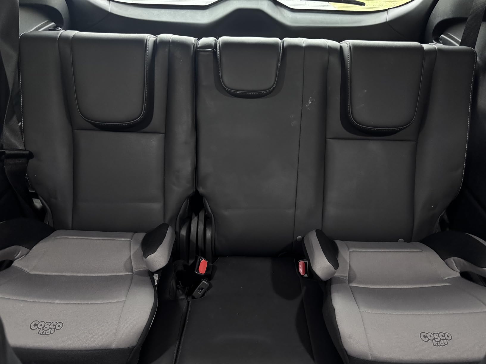 Cosco Topside Backless Booster Car Seat, Lightweight Booster Seats for Cars 40-100 lbs, Backless Booster Seat for Car, Leo customer photo 1