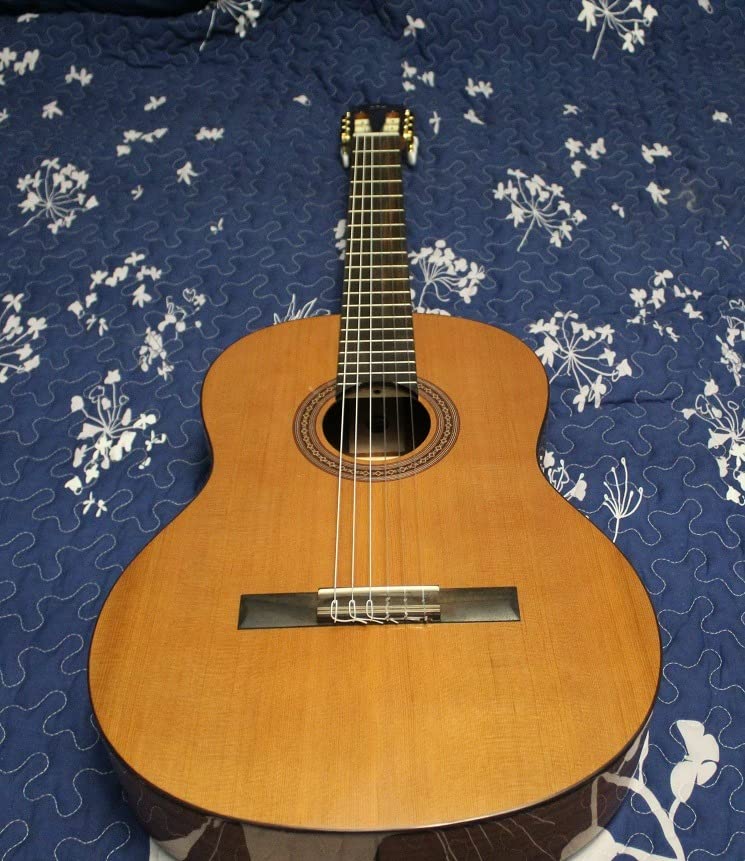 Cordoba C5 Classical w/Solid Cedar Top customer photo 2