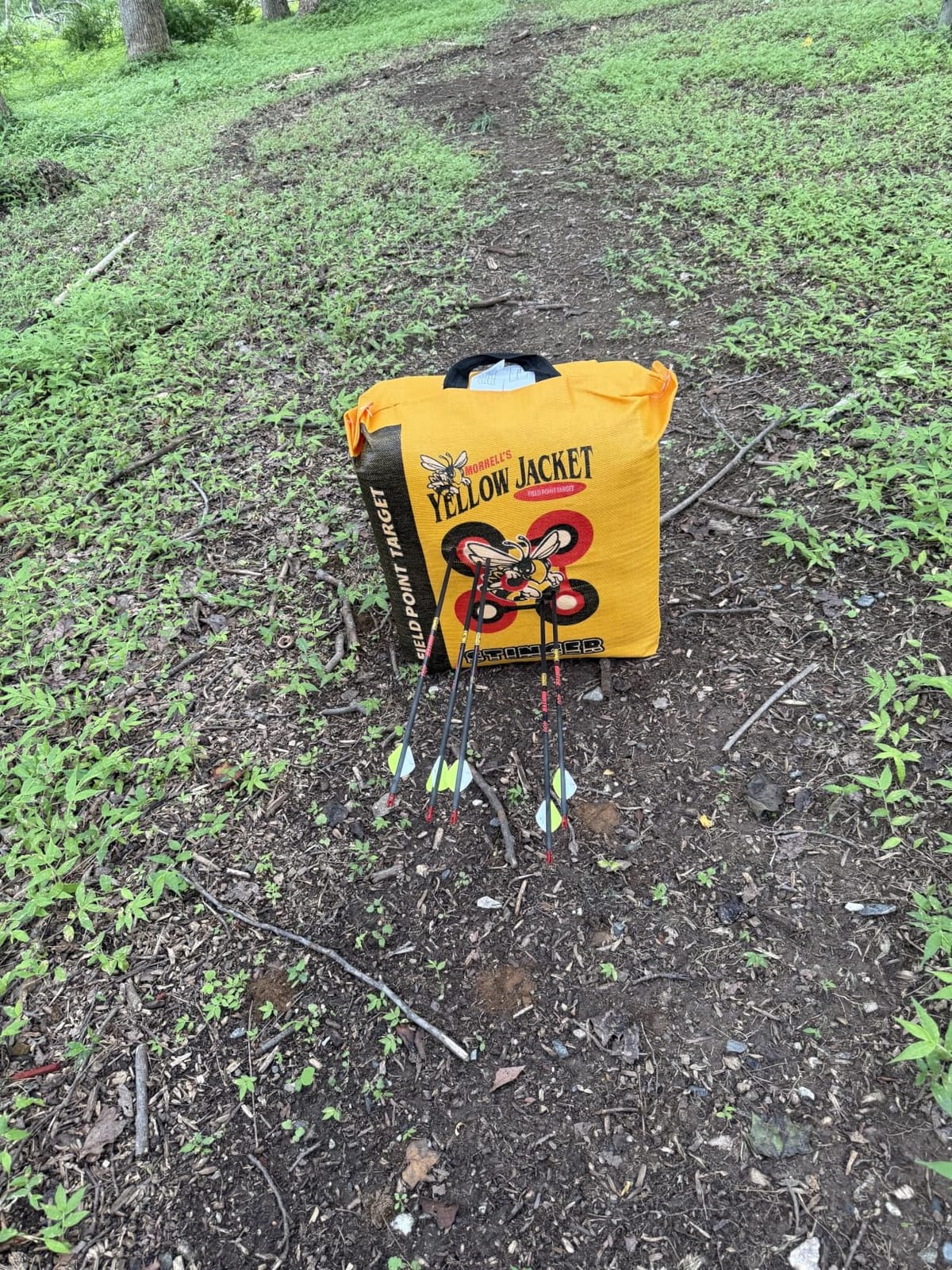 Morrell Yellow Jacket Stinger, Field Point Archery Target with 2 Shooting Sides & 10 Bullseyes - Portable Backyard Hunting Practice Bag with E-Z Tote Carrying Handle & Easy Arrow Removal customer photo 2