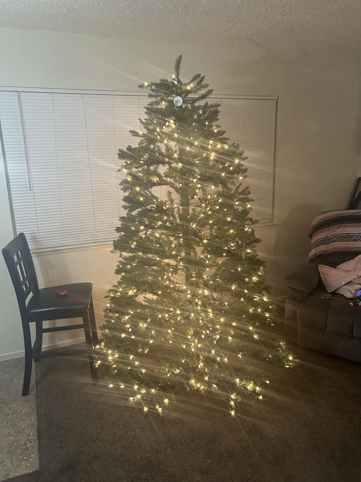 National Tree Company 7ft Pre-Lit Dunhill Fir Artificial Christmas Tree | 700 Clear Lights, 2,144 Tips, Includes Stand, Green customer photo 2