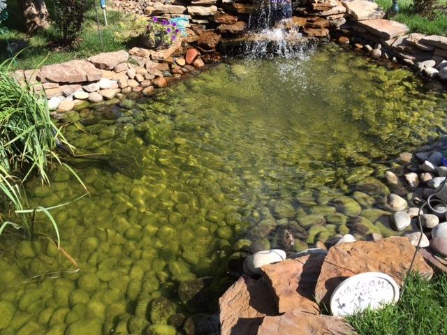 Aquascape UltraKlear 5000 UV Clarifier/Sterilizer for Pond Water Features, 55 Watts customer photo 1