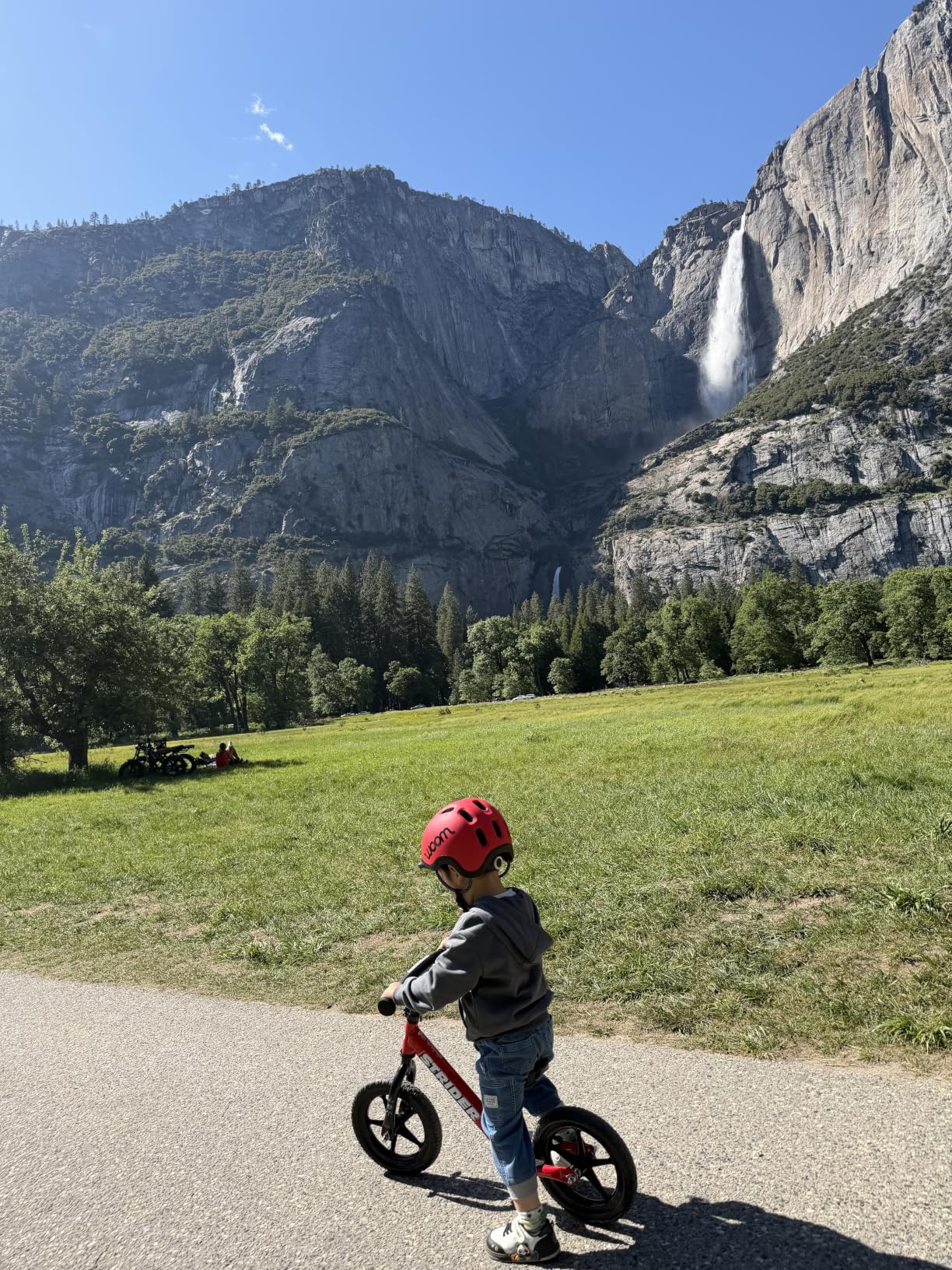 Strider 12 Sport Bike, Blue - No Pedal Balance Bicycle for Kids 1 to 4 Years - Includes Safety Pad, Padded Seat, Mini Grips, Flat-Free Tires, Easy Assembly, Tool-Free Adjustments customer photo 1