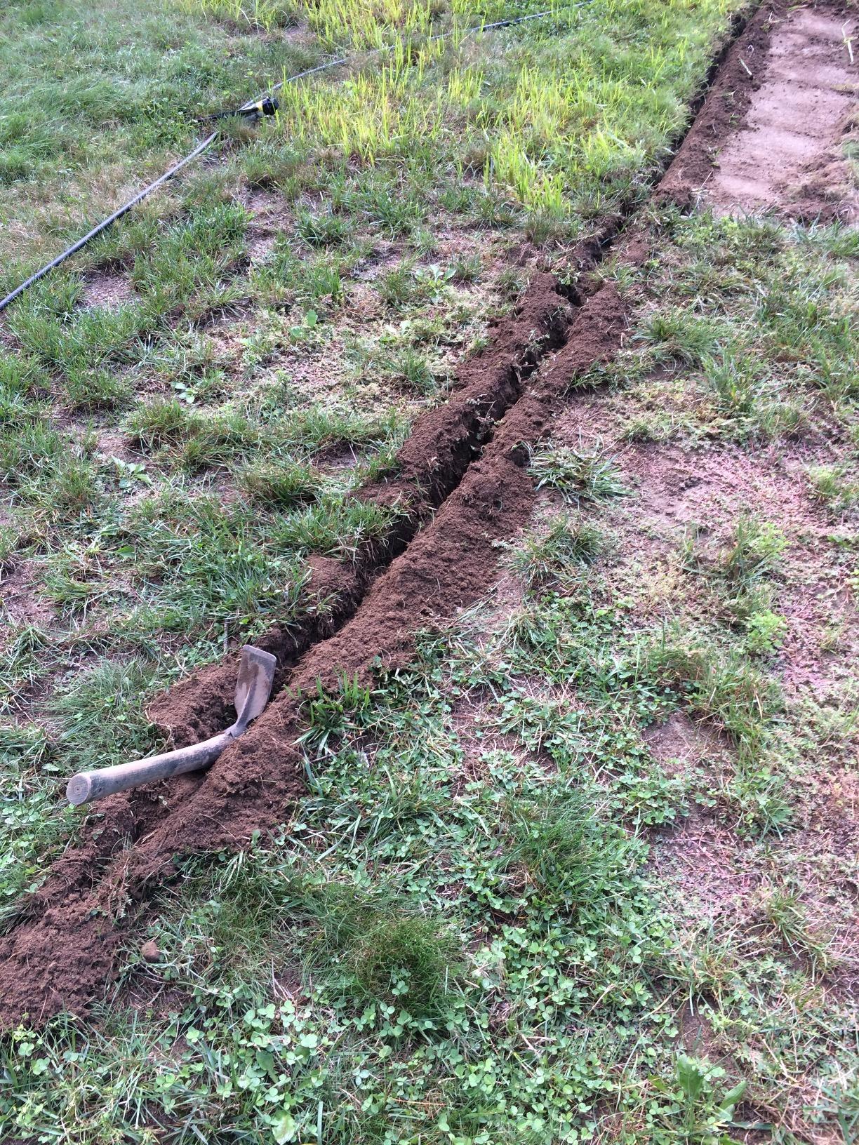 Rain Bird 32ETI DIY Install In-Ground Automatic Sprinkler Kit customer photo 2