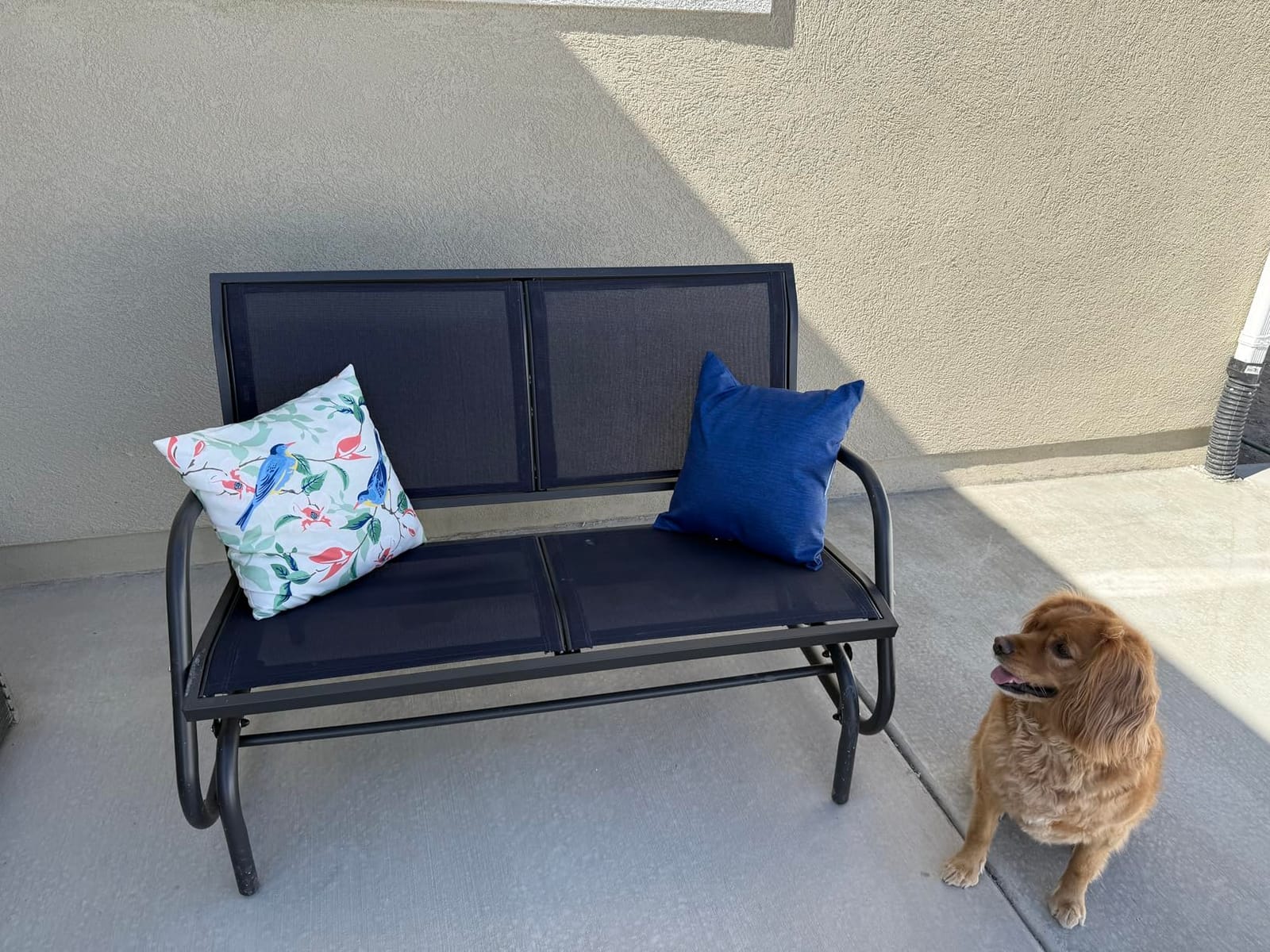 Outsunny 2-Person Outdoor Glider Bench with Steel Frame, Black | Double Swing Rocking Chair, Loveseat, for Outside Patio, Backyard, Garden, Porch, Powder Coated customer photo 2
