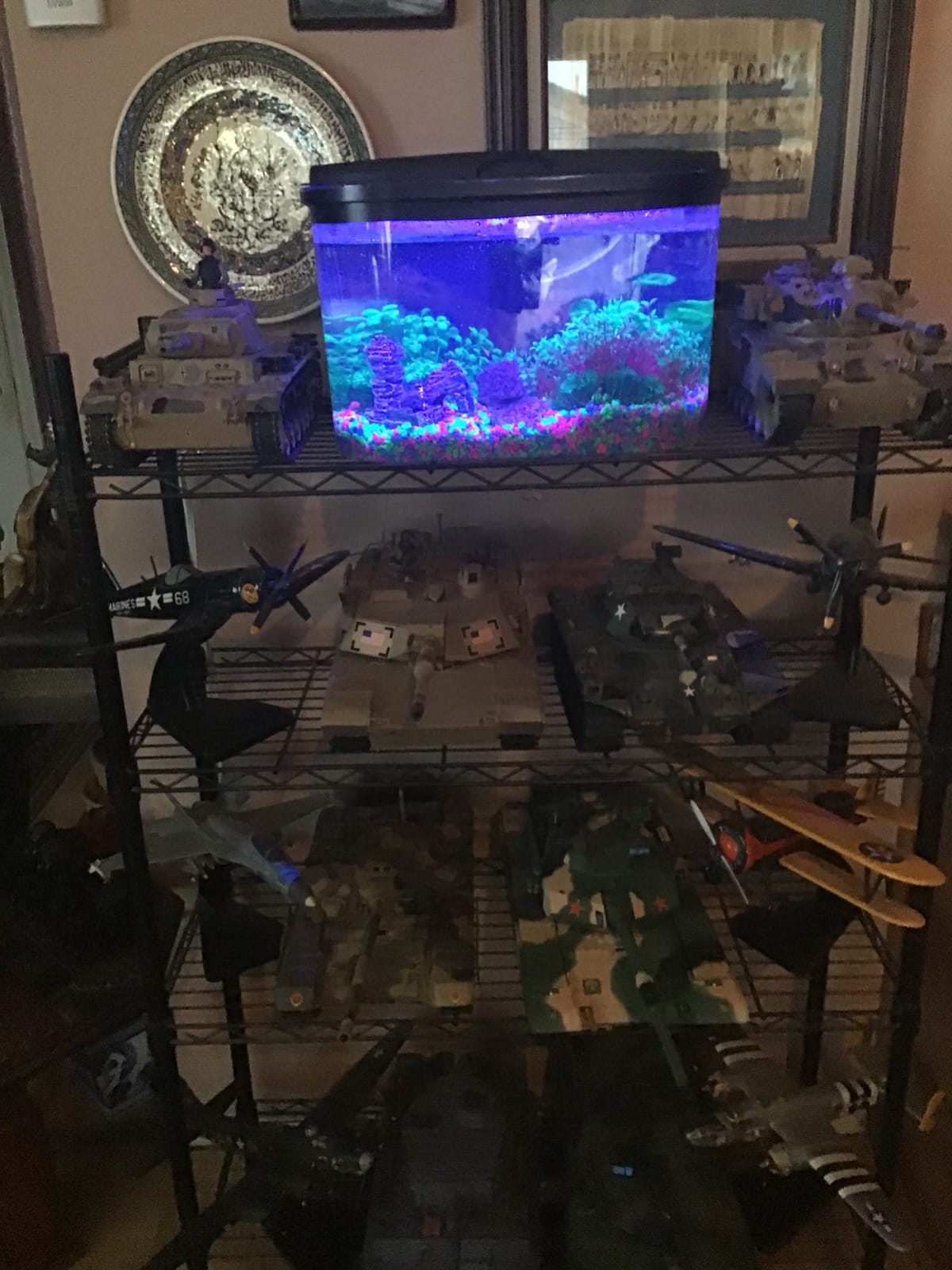 Koller Products 5-Gallon Aquarium Kit with LED Lighting and Power Filter, Ideal for a Variety of Tropical Fish customer photo 2