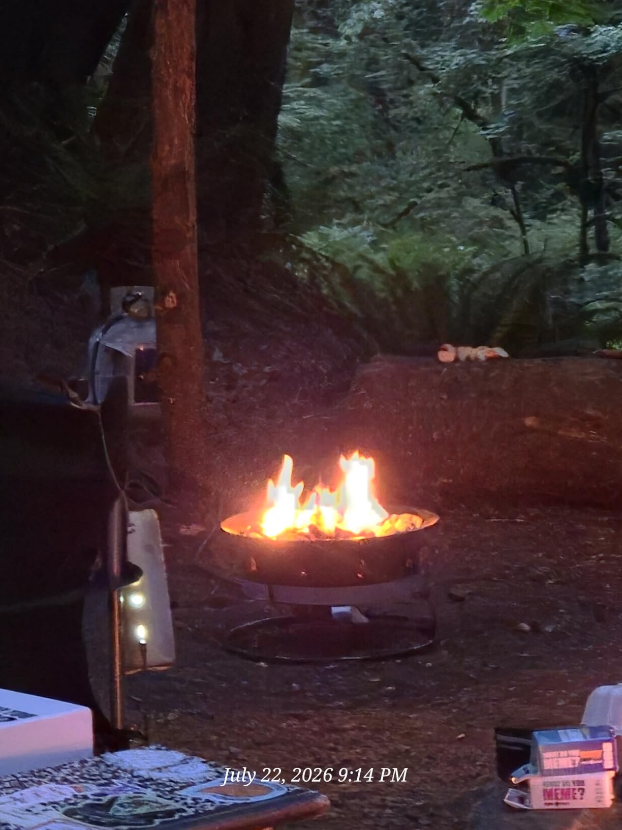 Outland Living Portable Propane Fire Pit, 19-inch, 58,000 BTU with Fire Pit Cover & Carry Kit, Smokeless Gas Firebowl | Perfect for Camping, Patio, Backyard, Tailgating, Deck, RV| Black 893 Deluxe customer photo 1