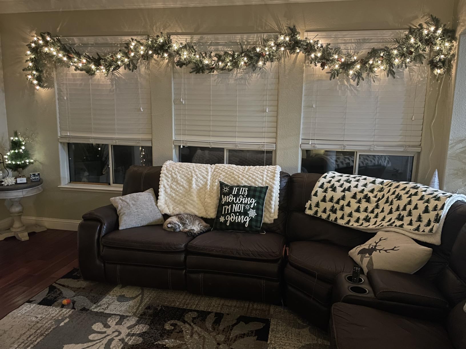 National Tree Company 9ft Pre-Lit Arctic Spruce Christmas Garland | 50 Clear Lights, 350 Tips, Artificial Christmas Decoration With Pinecones customer photo 2