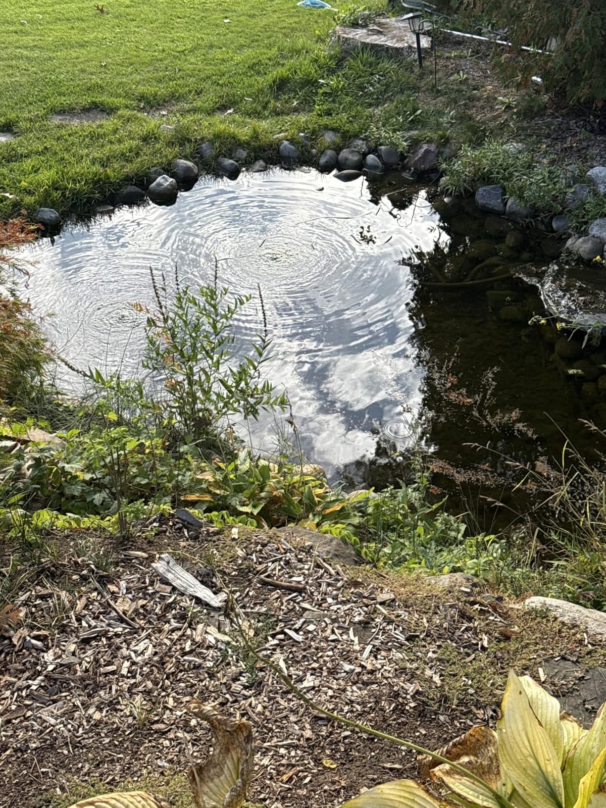 CrystalClear PondAir 2 Complete Aeration Kit, Koi & Fish Ponds Bubbler customer photo 2