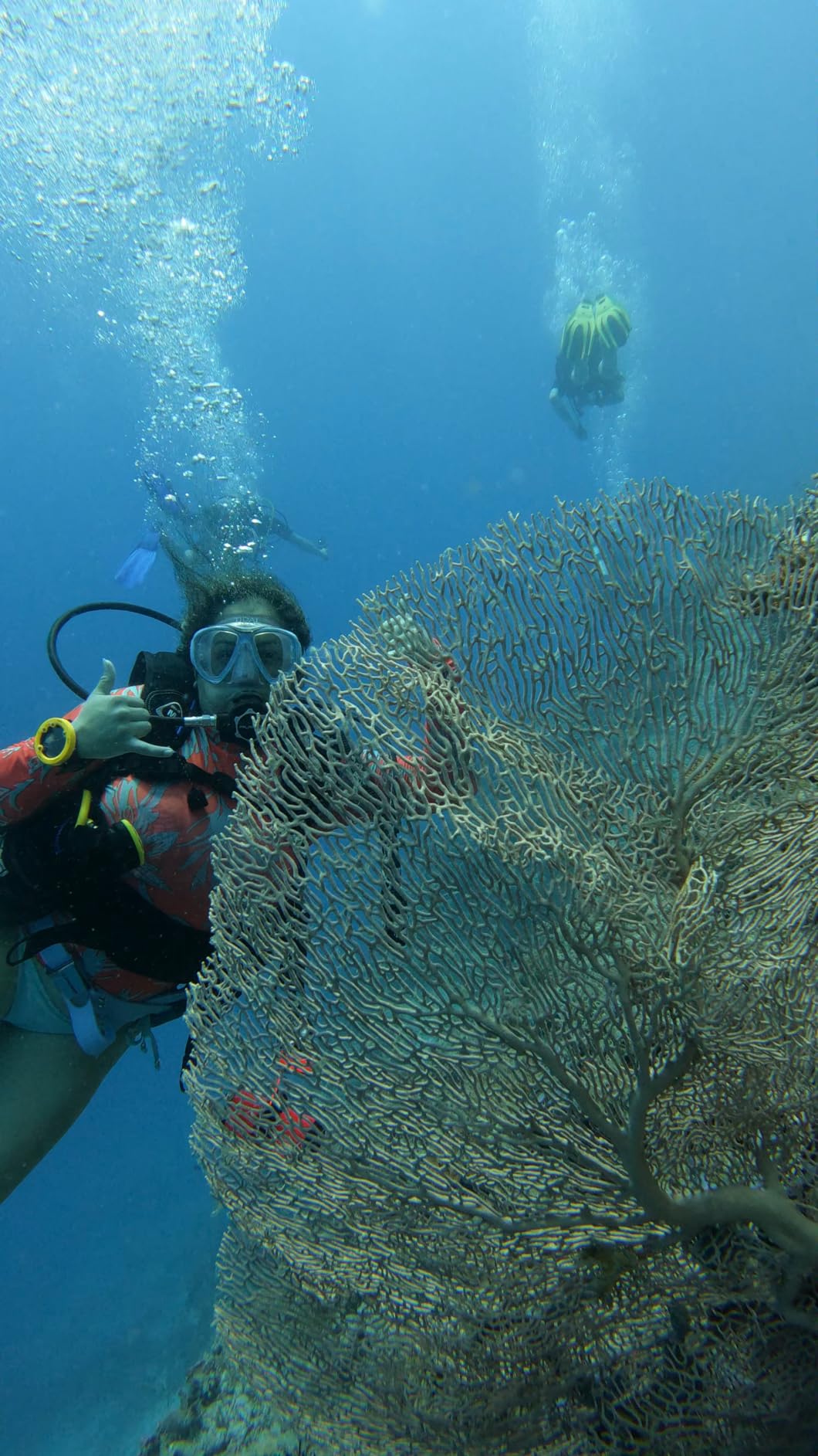 AS101 Scuba Diving Regulator customer photo 1