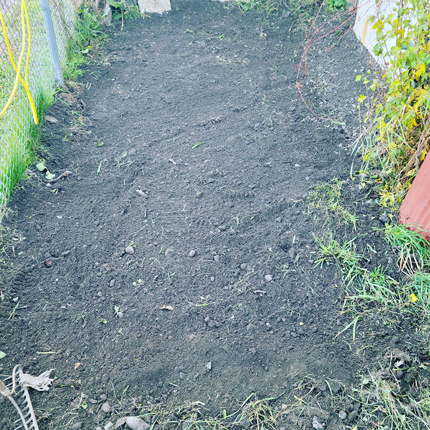 Sun Joe Corded Electric Garden Tiller & Cultivator with Steel Tines, 16-Inch, 12-Amp Motor (TJ603E) customer photo 1