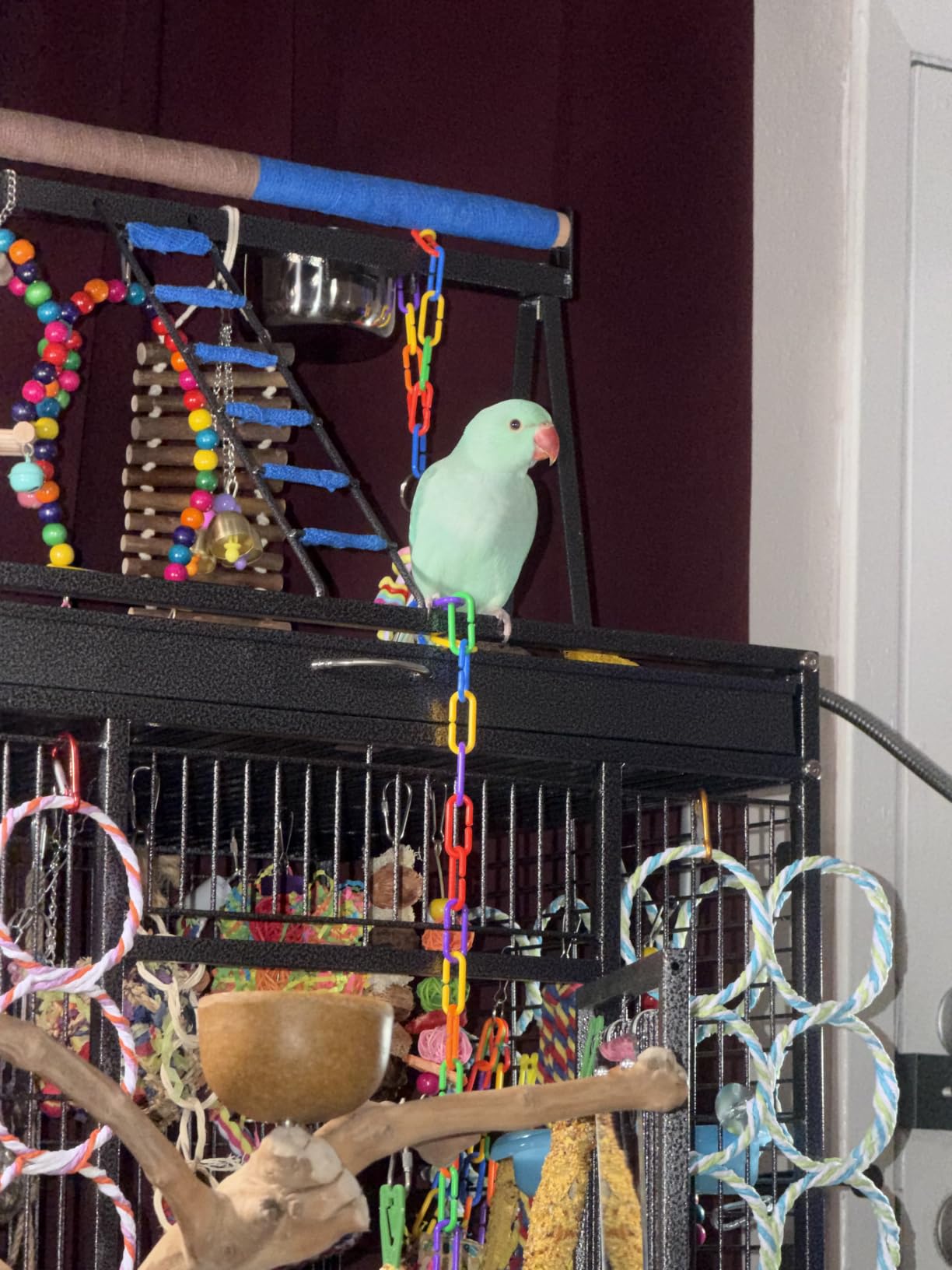 Yaheetech 69 Inch Large Bird Cage, Rolling Parrot Cage with Play Top, Ladder, Feeders and Slide-Out Tray customer photo 1