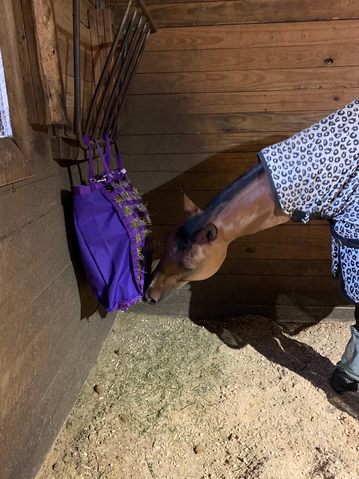Derby Originals Front Web Slow Feeder Horse Hay Bag Super Tough Bottom with 6 Month Warranty customer photo 1