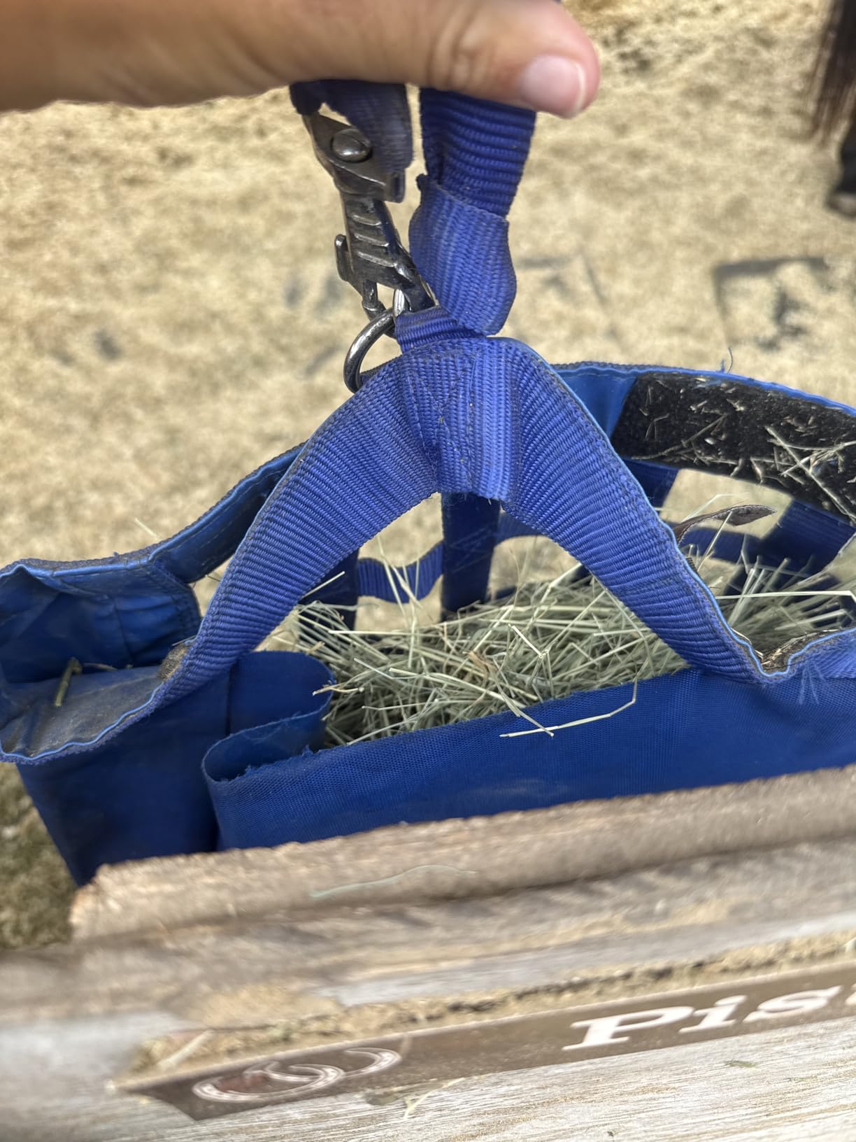 Derby Originals Front Web Slow Feeder Horse Hay Bag Super Tough Bottom with 6 Month Warranty customer photo 2