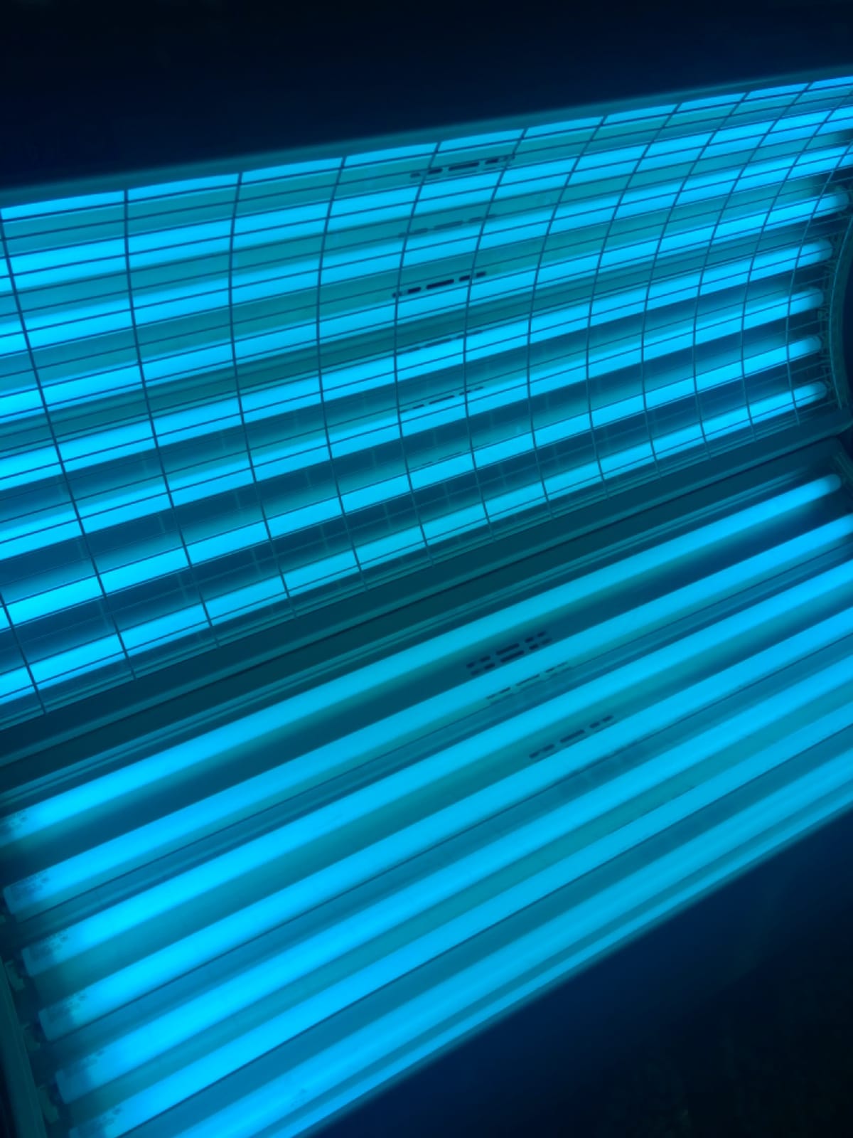 Wolff Bronzing Sun Plus F71 100W Bi Pin Tanning Lamp (16) customer photo 1