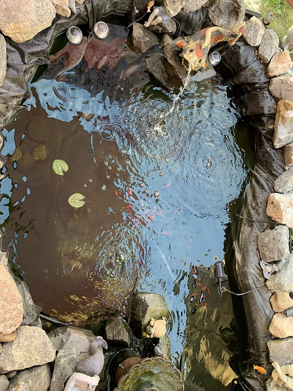 SUN CPF-2500 Grech Pond Bio Pressure Filter, UVC Upto 1600 gal, 13W customer photo 2