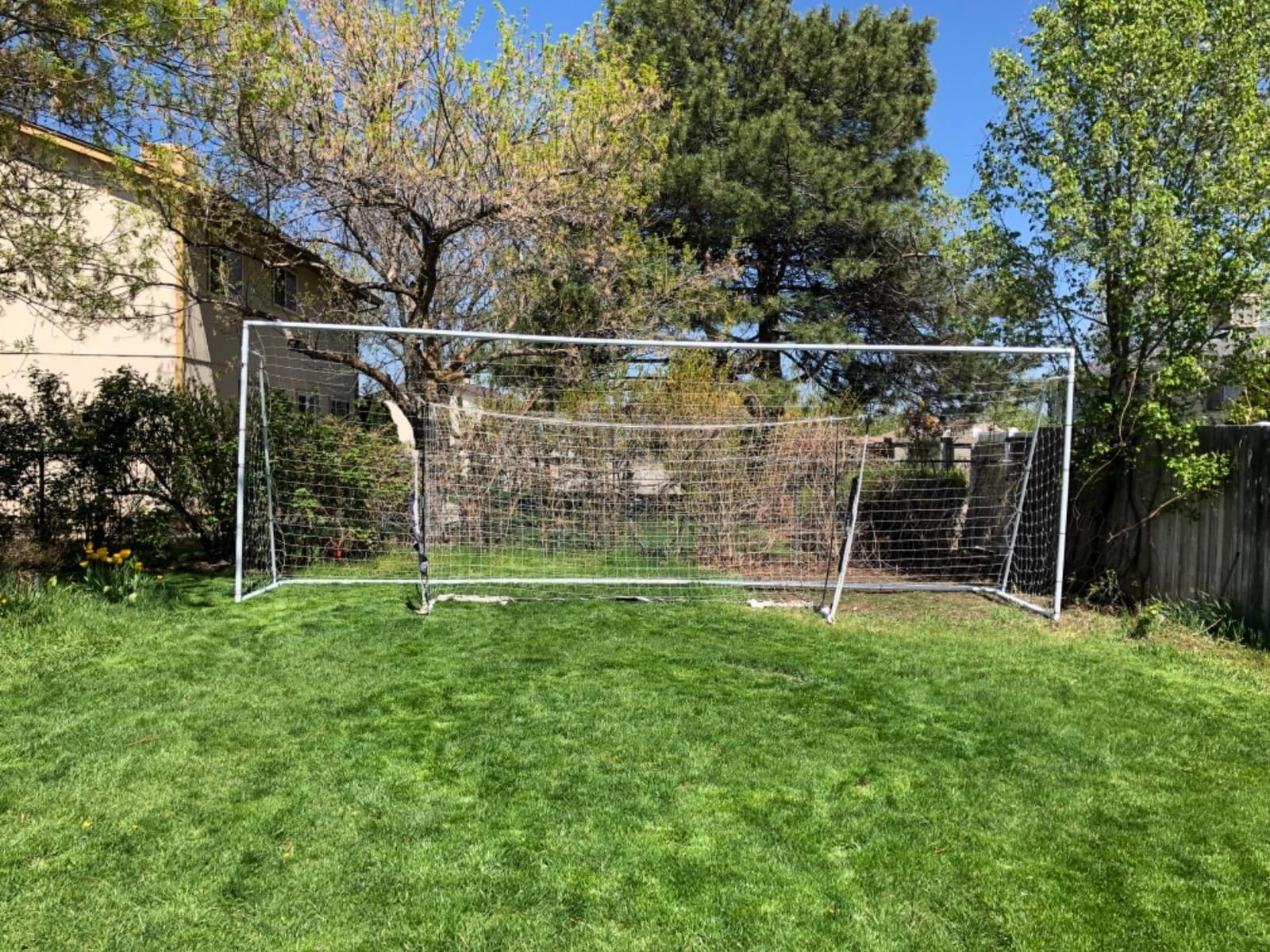 Official Size 24 X 8 X 5 Ft. Steel Soccer Goal - Heavy Duty Frame w/Net, Tournament, Regulation Size, Professional Portable Practice Training Aid customer photo 2